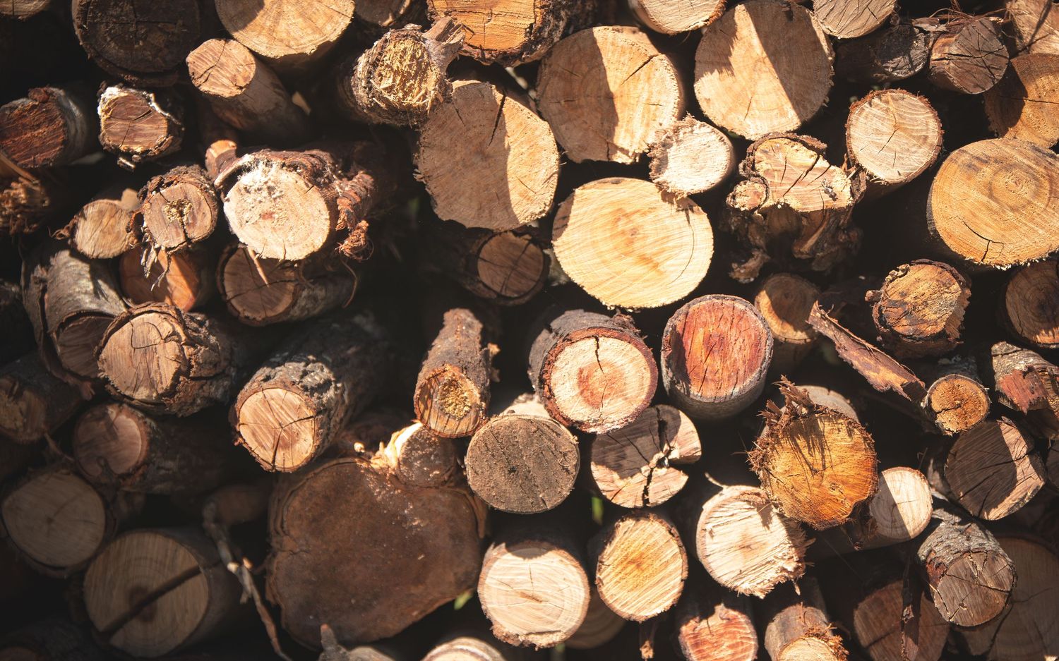 Stack of cut wooden logs arranged in a pile showing circular cross sections with warm lighting and natural wood textures.
