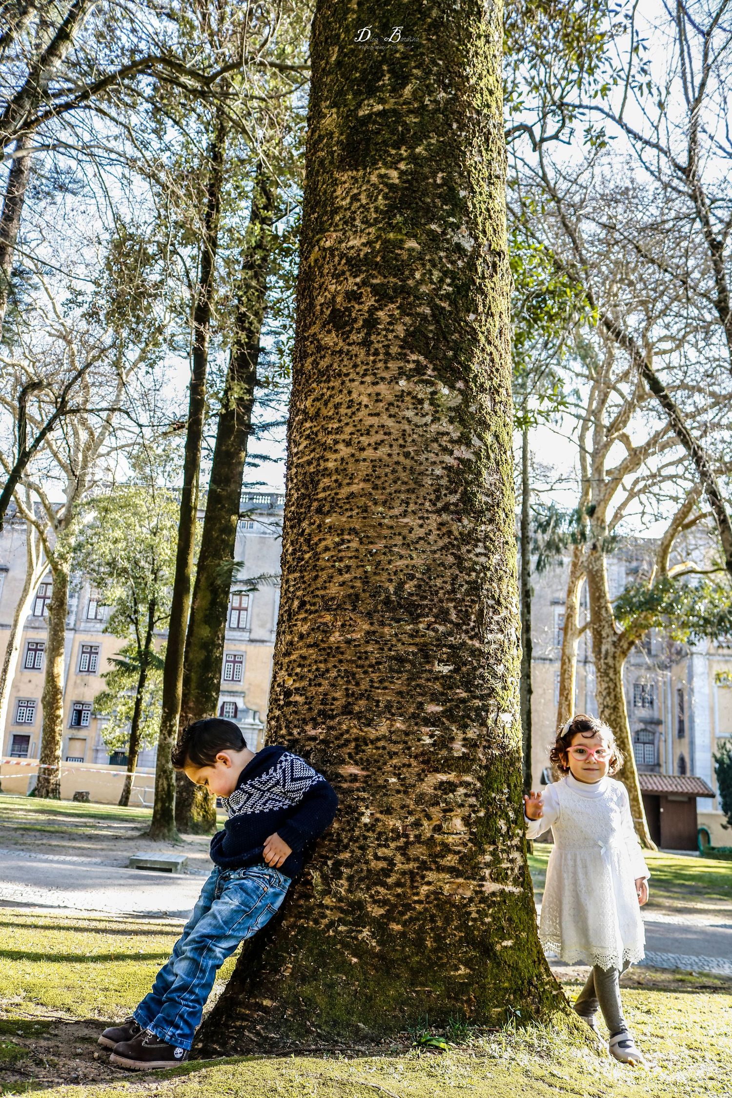 Two children playing hide and seek around a large tree trunk in an urban park.