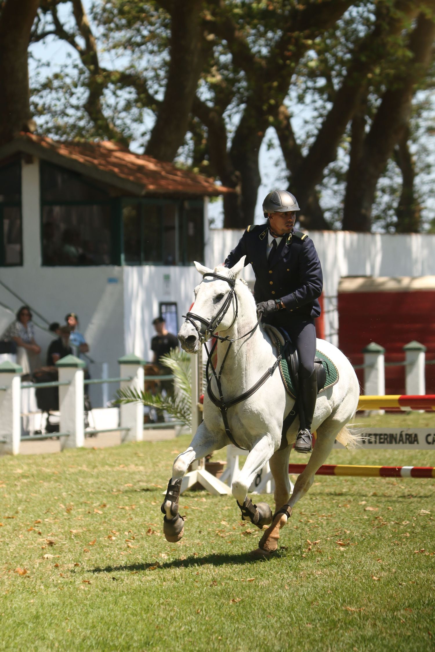 Equestrian rider in formal attire jumps a white horse over grass at outdoor competition arena.