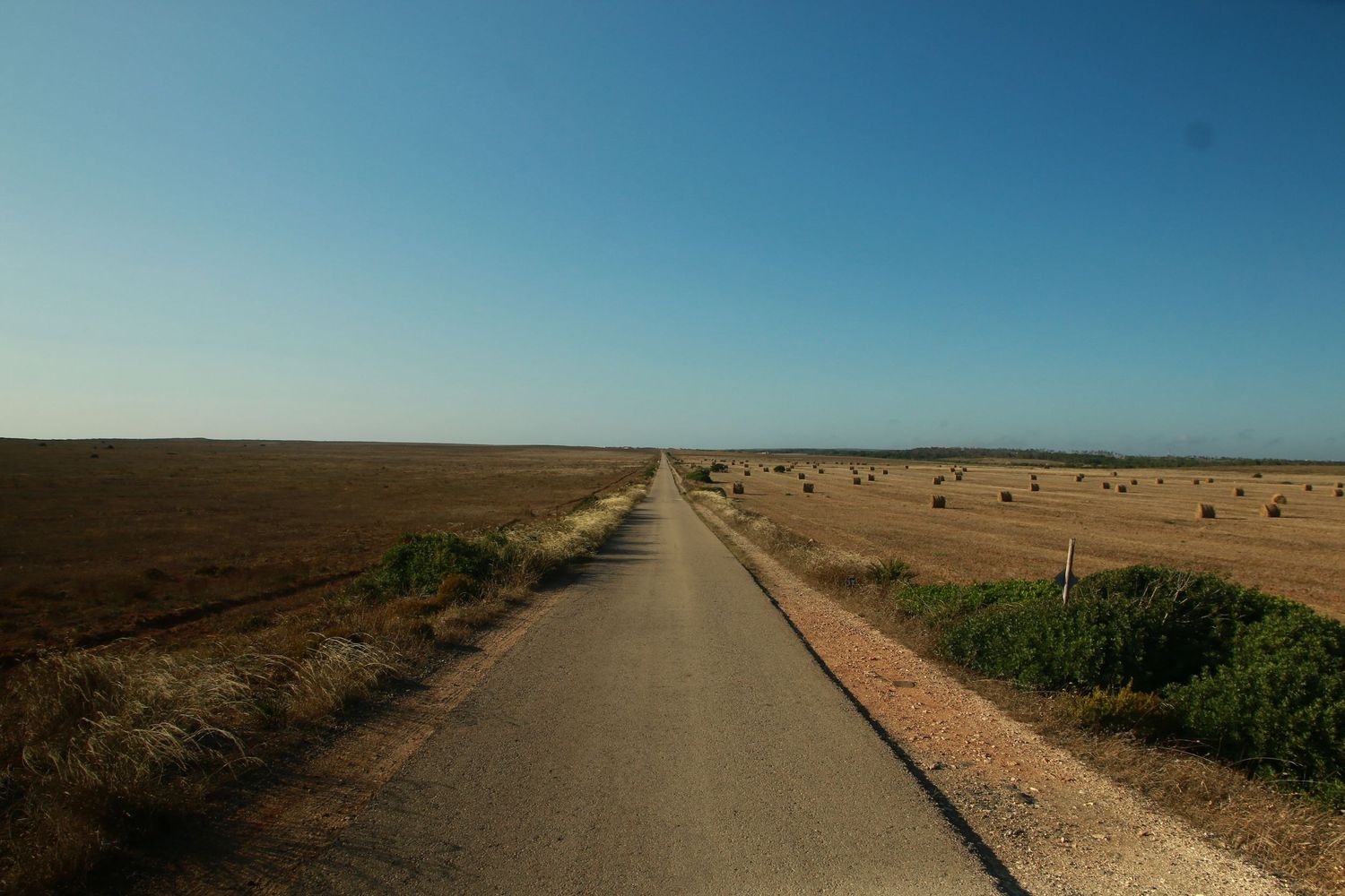 A straight rural road stretches into the distance through arid terrain under a clear blue sky.