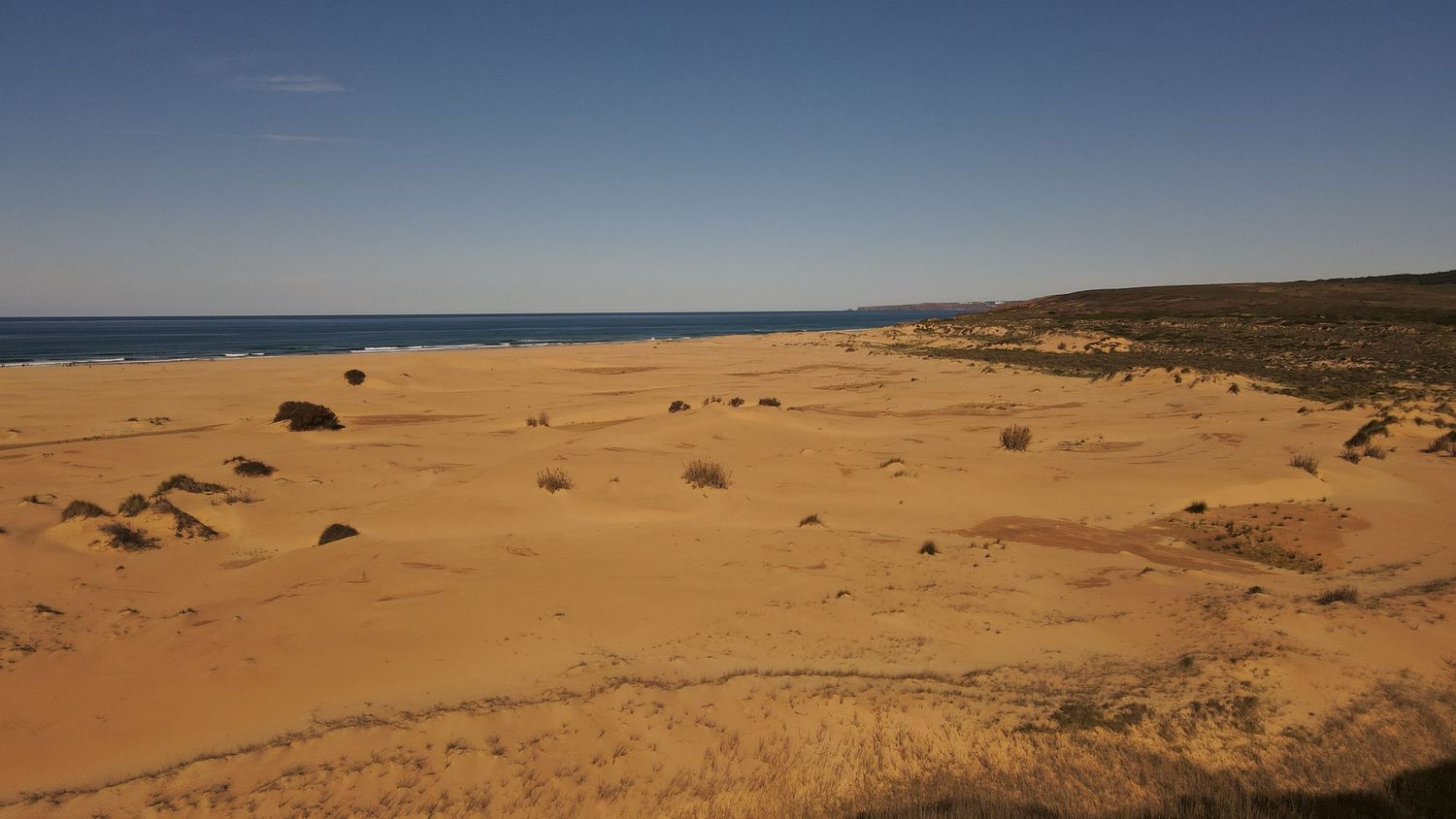 A scenic panoramic view of sandy coastal dunes stretching along the ocean shoreline at sunset.