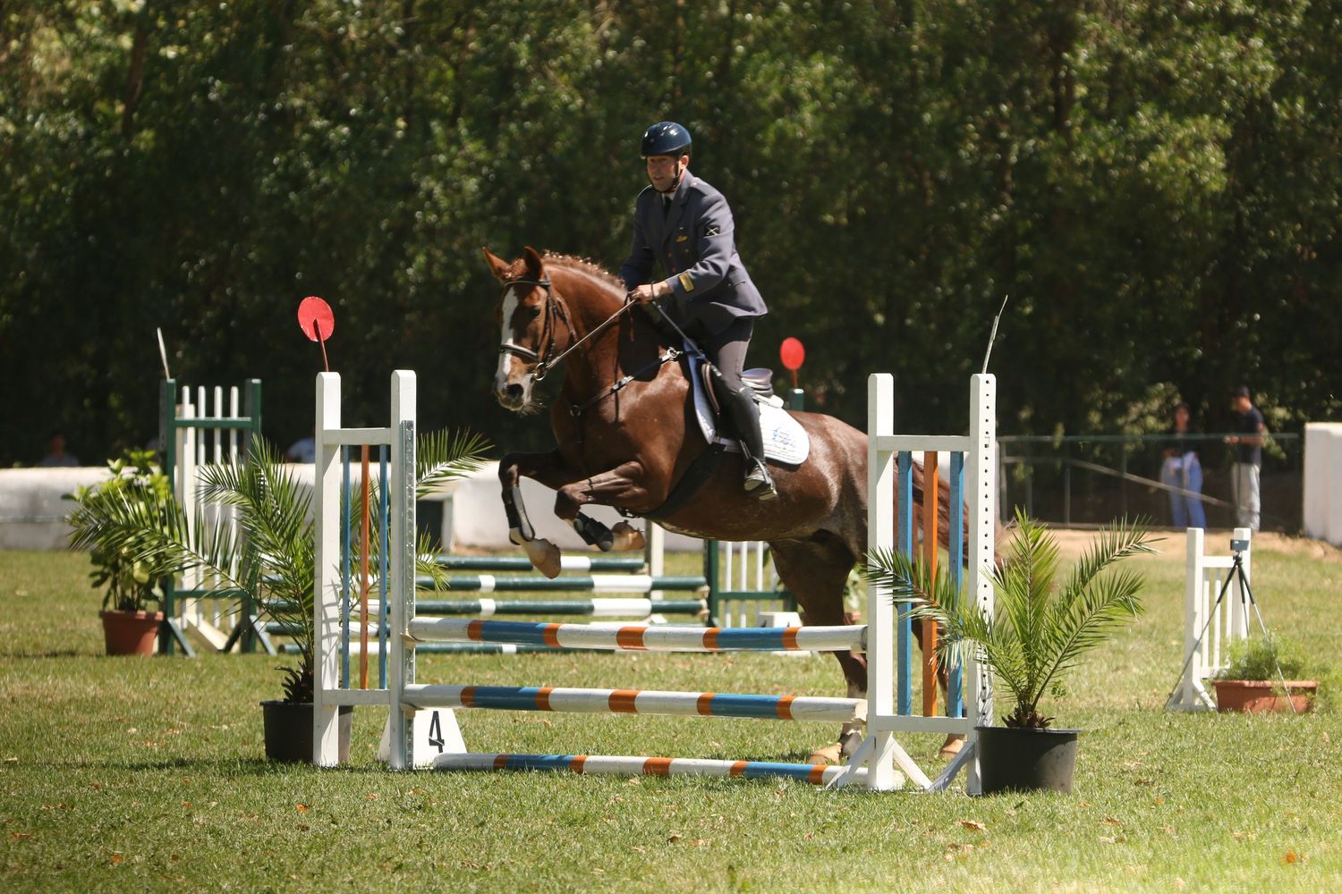 Equestrian rider and horse clearing a show jumping obstacle on a sunny day at an outdoor competition course.