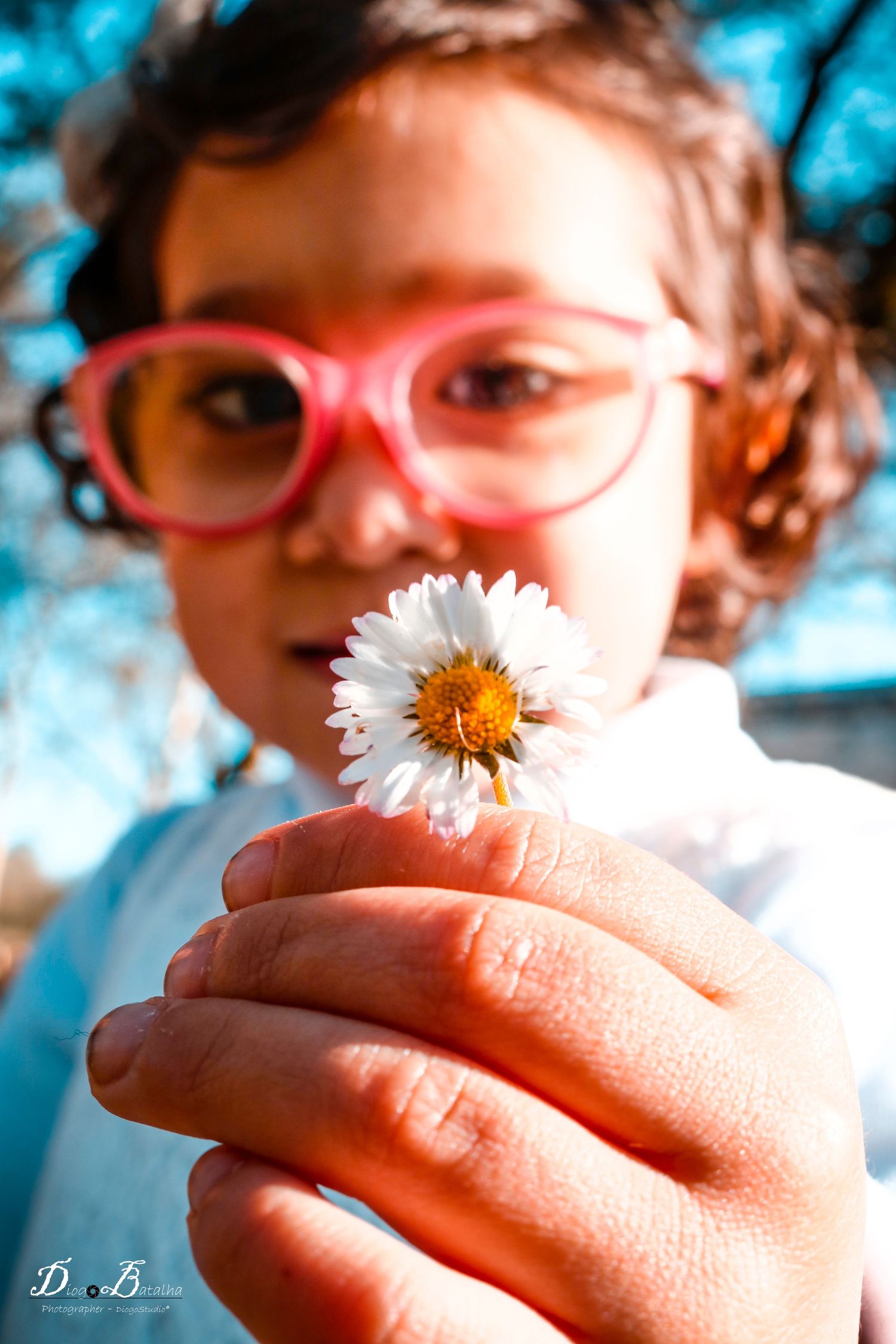 Close up of hands holding a white daisy flower against a bright turquoise background.