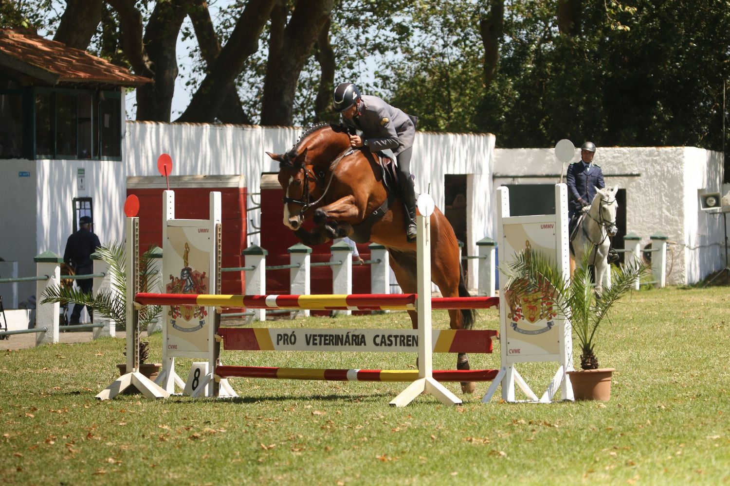 Show jumper and chestnut horse clearing red and white obstacle at equestrian competition.