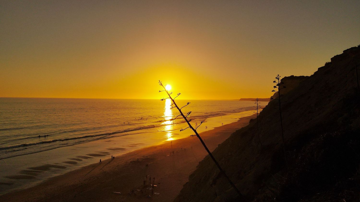 A fishing pole stands silhouetted against a golden sunset over a beach with cliffs and ocean waves.