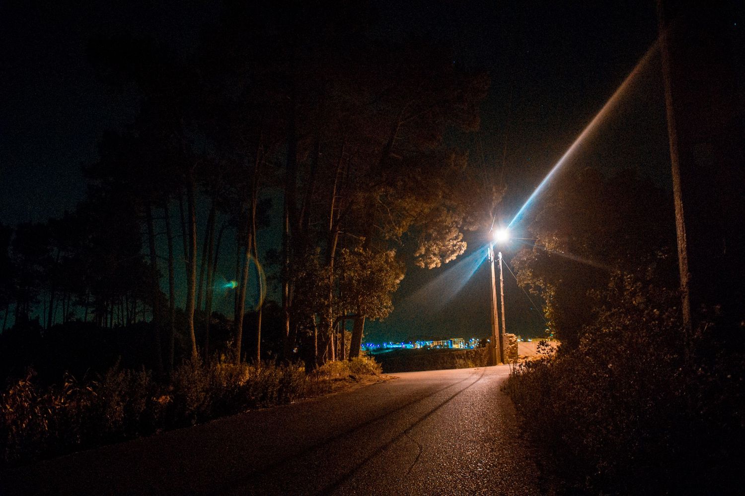 Dark forest road illuminated by a single bright street lamp at night.