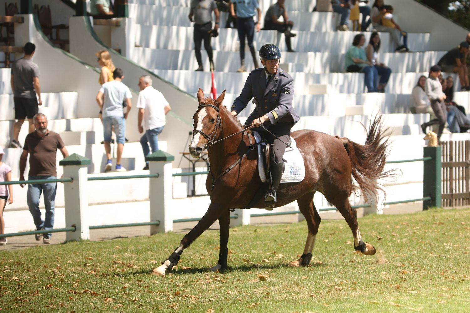 Police officer mounted on a brown horse patrols during an outdoor event with spectators in the background.