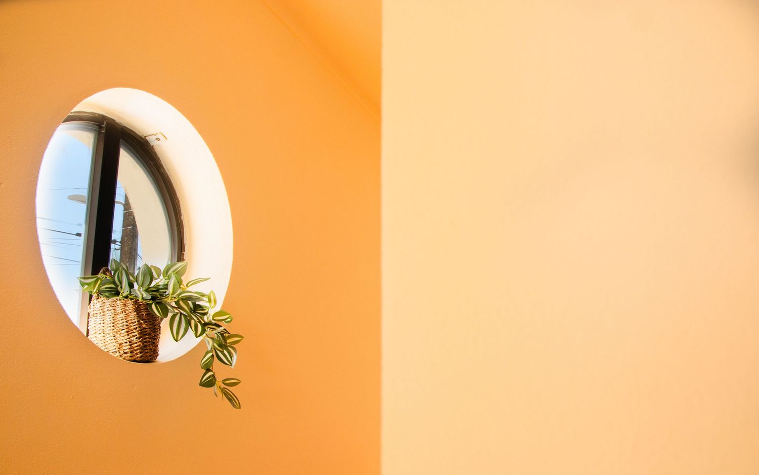 A round white window with trailing plants against a bright orange wall creates a minimalist architectural detail.