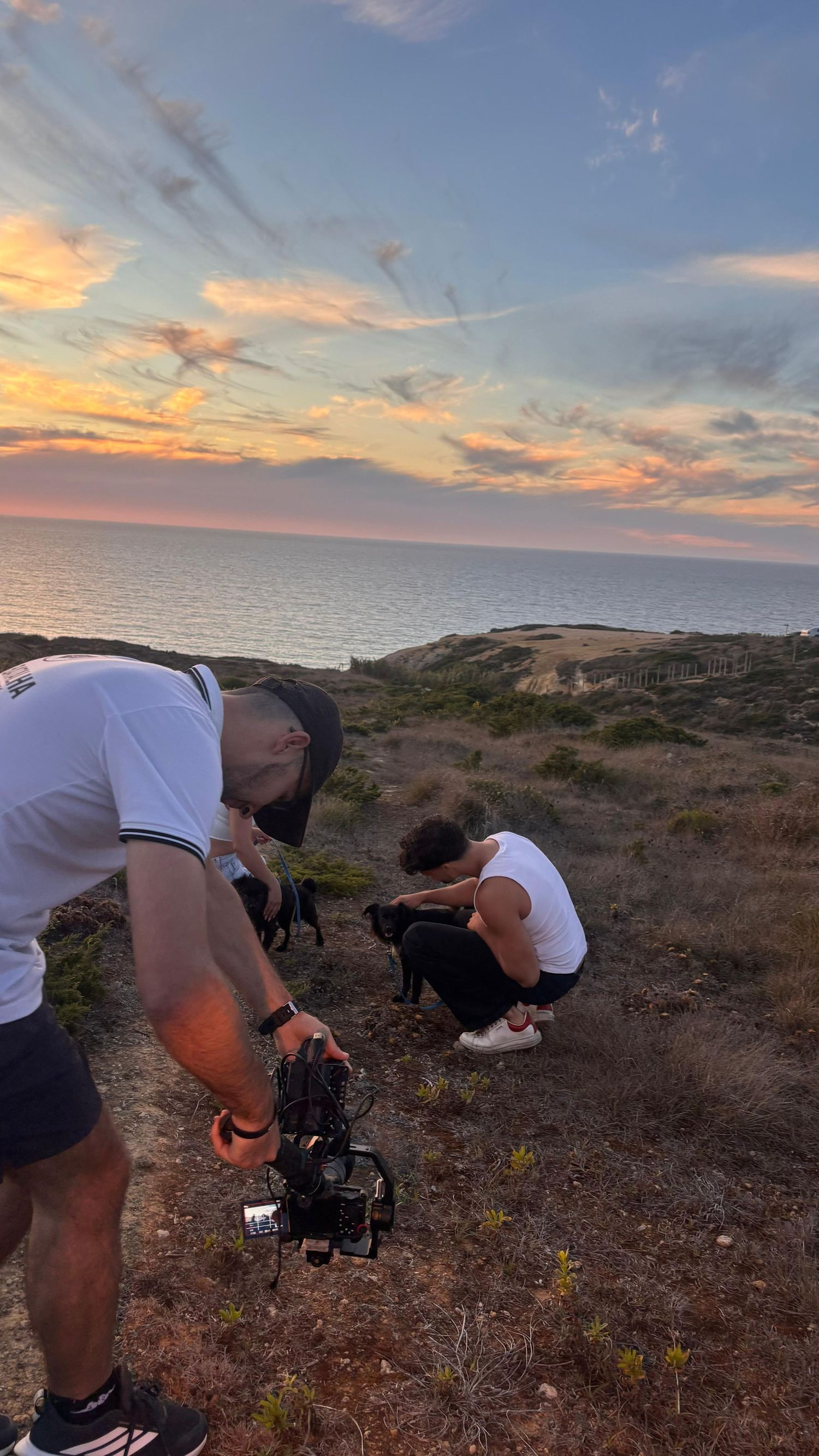 People petting a black dog against a coastal sunset backdrop with dramatic orange and pink clouds over the ocean.