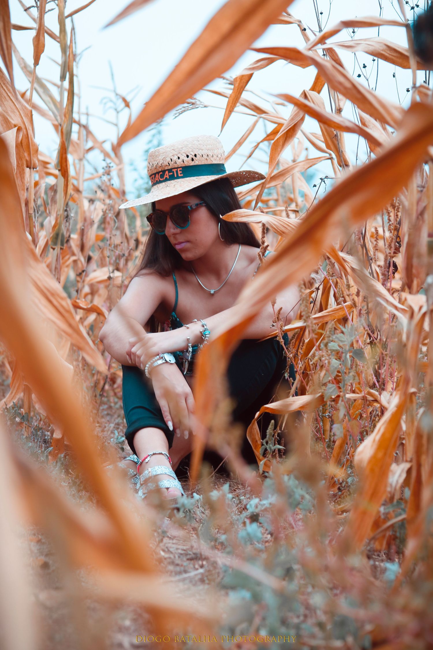 A stylish figure in a sun hat and sunglasses sits among dried corn stalks in an artistic autumn field photo.