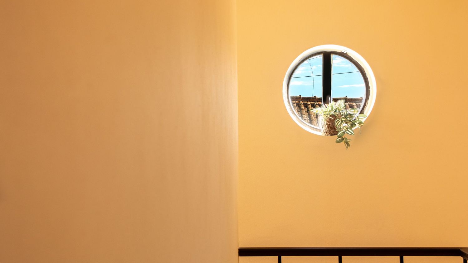 A grey cat peers curiously through a small round porthole window in an orange-colored wall.