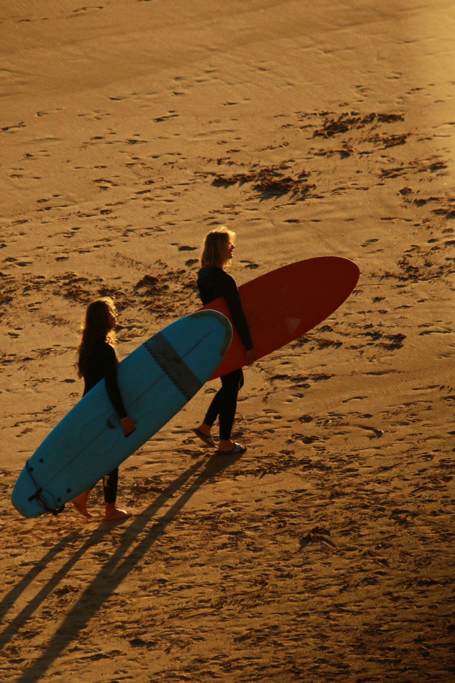Two surfers carrying longboards on beach during golden hour casting long shadows.