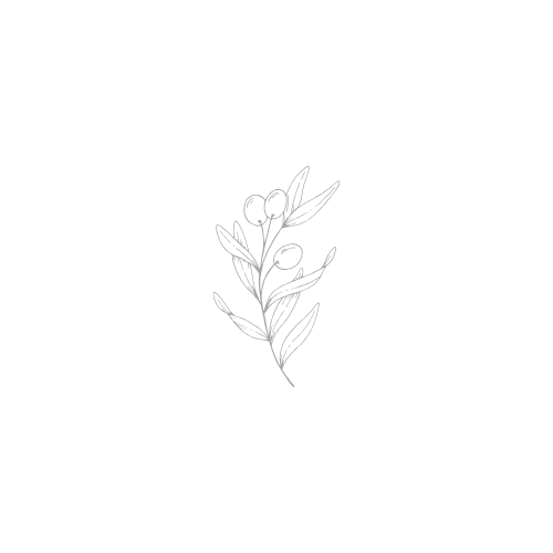Minimalist line art illustration of a delicate botanical flower branch with leaves on white background.