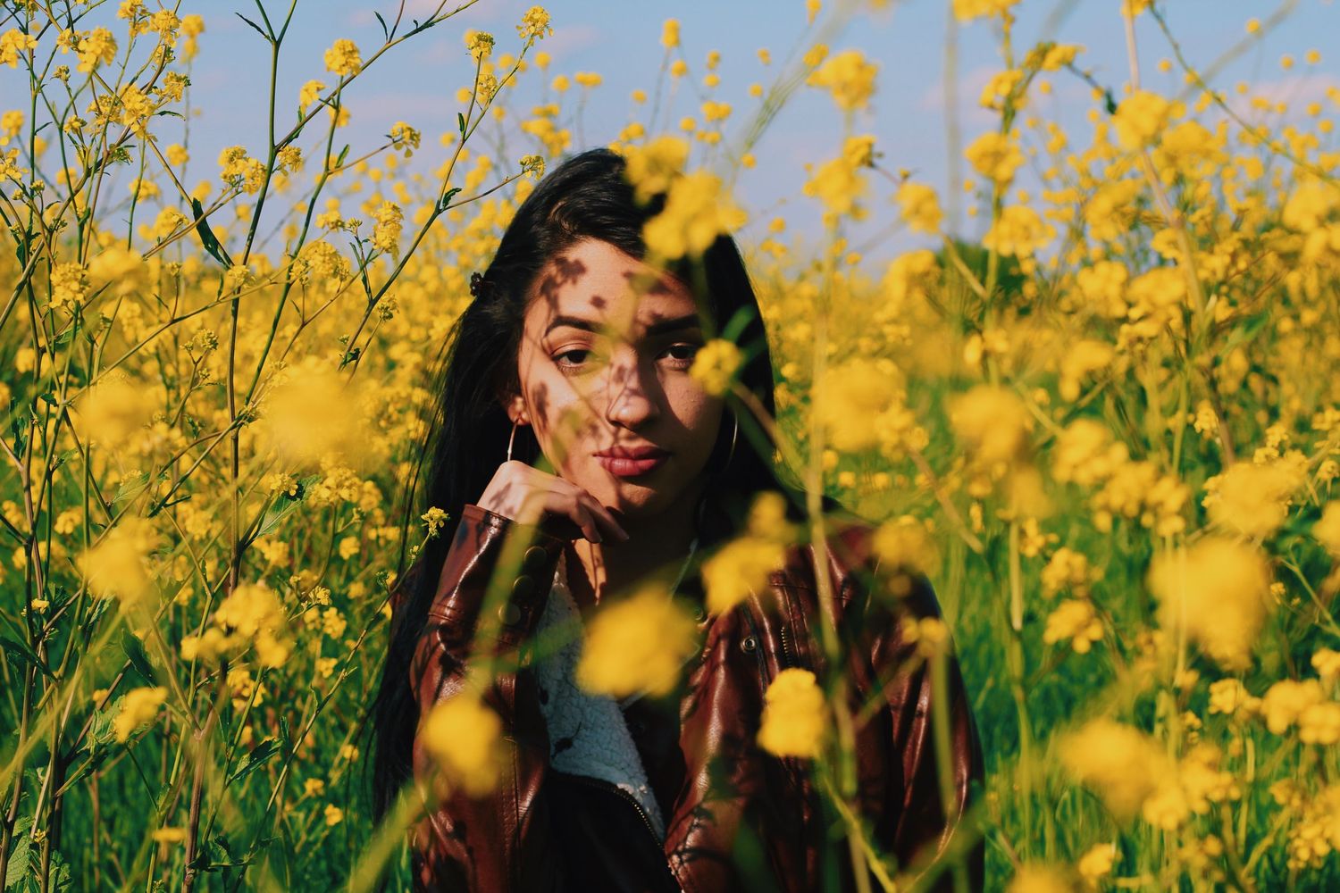 Artistic photo amid blooming yellow flowers creating dreamy natural backdrop.