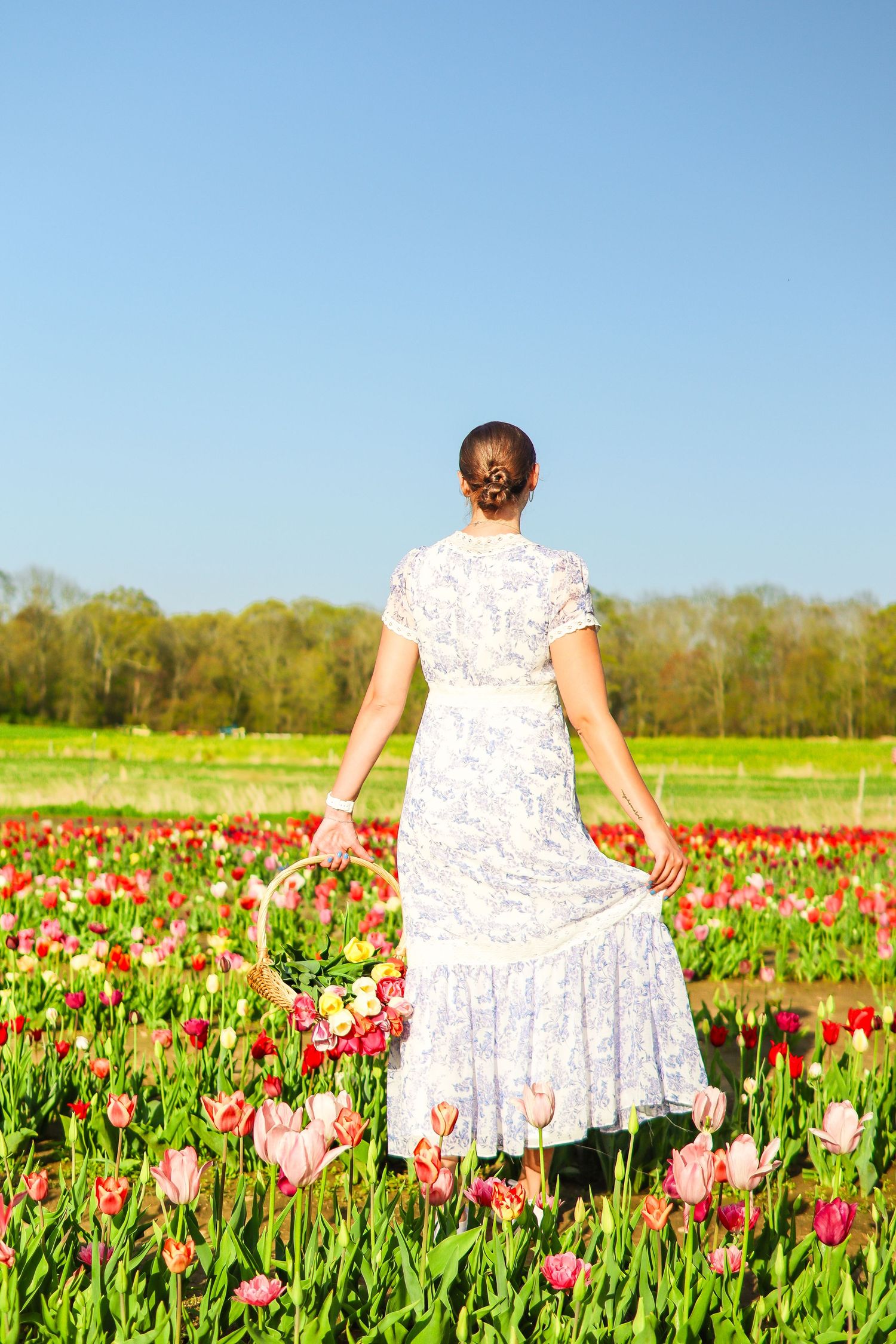 A girl standing in a flower field and holding a basket of tulips while facing away from the camera.
