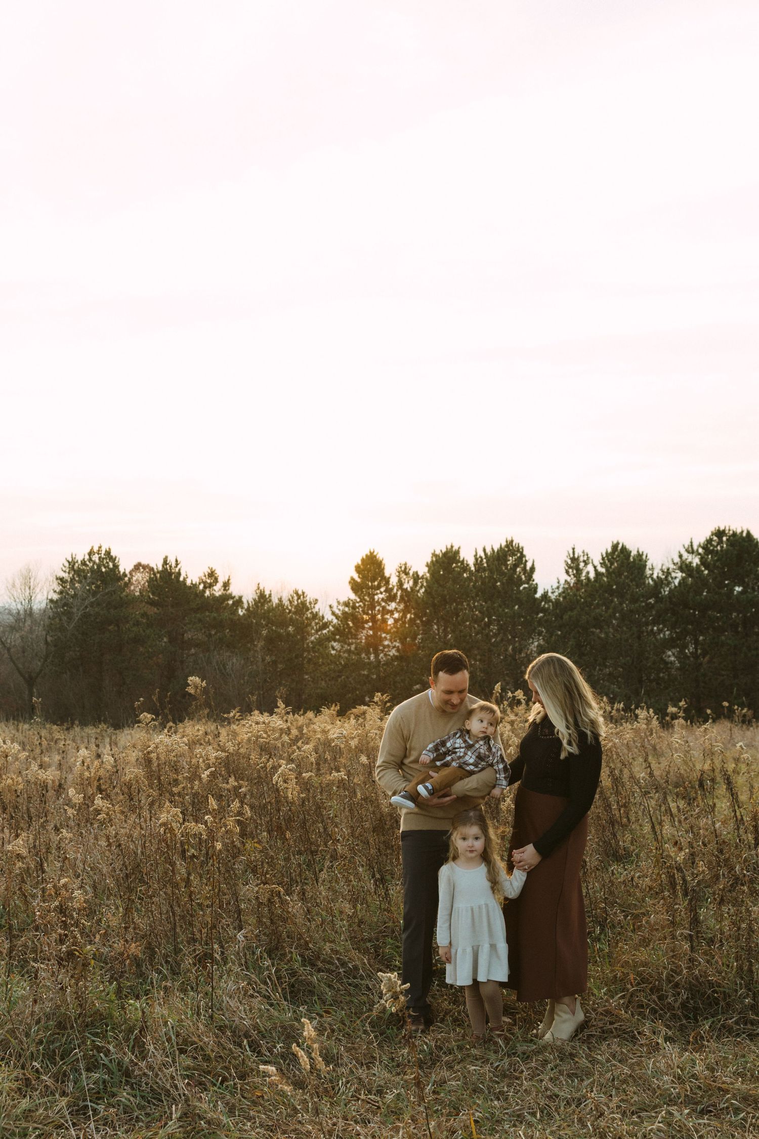 Family of four posing in golden autumn field at sunset, parents holding baby while toddler stands in front.