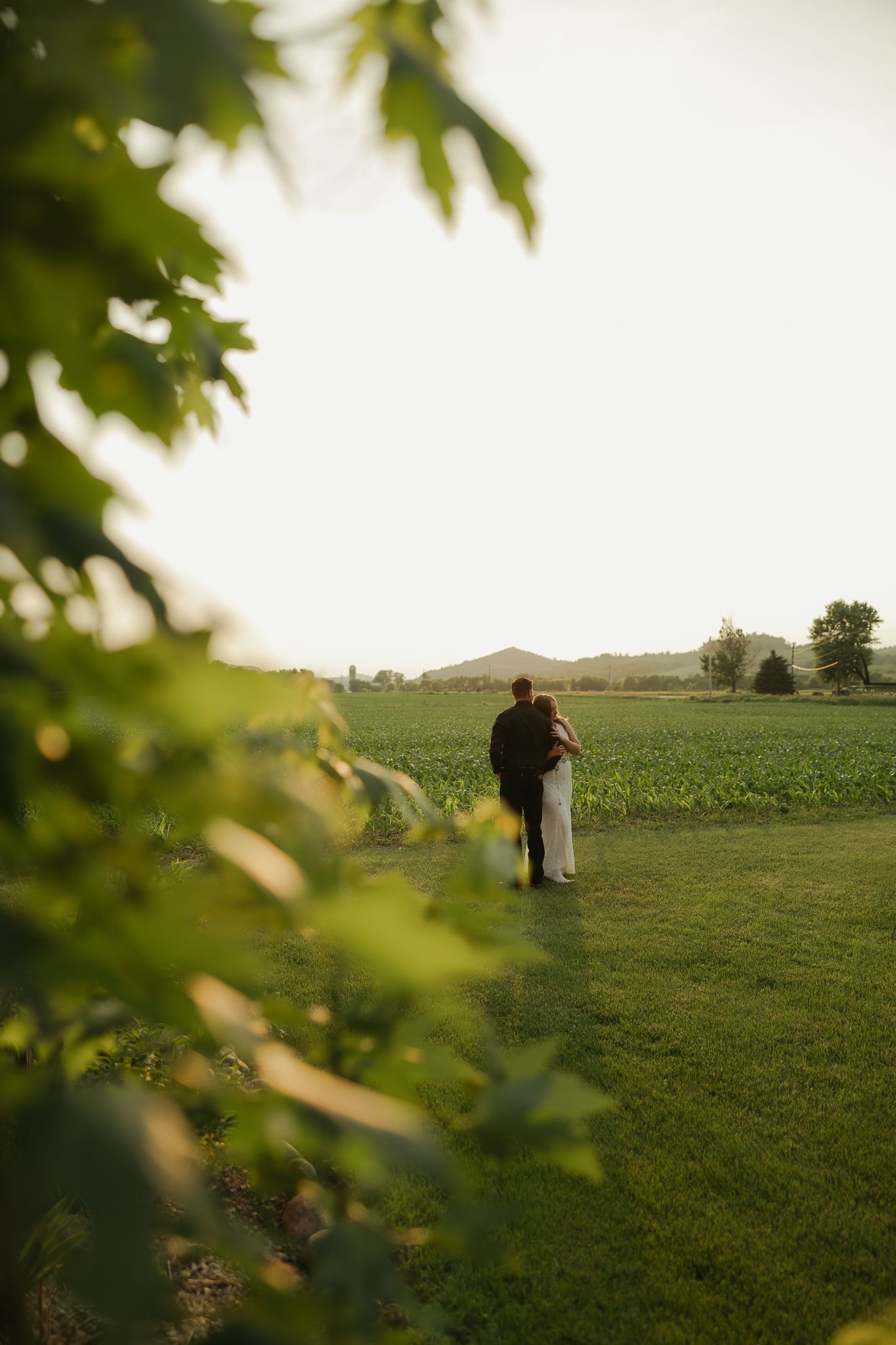 A distant view of a couple through tree leaves in a green countryside setting.