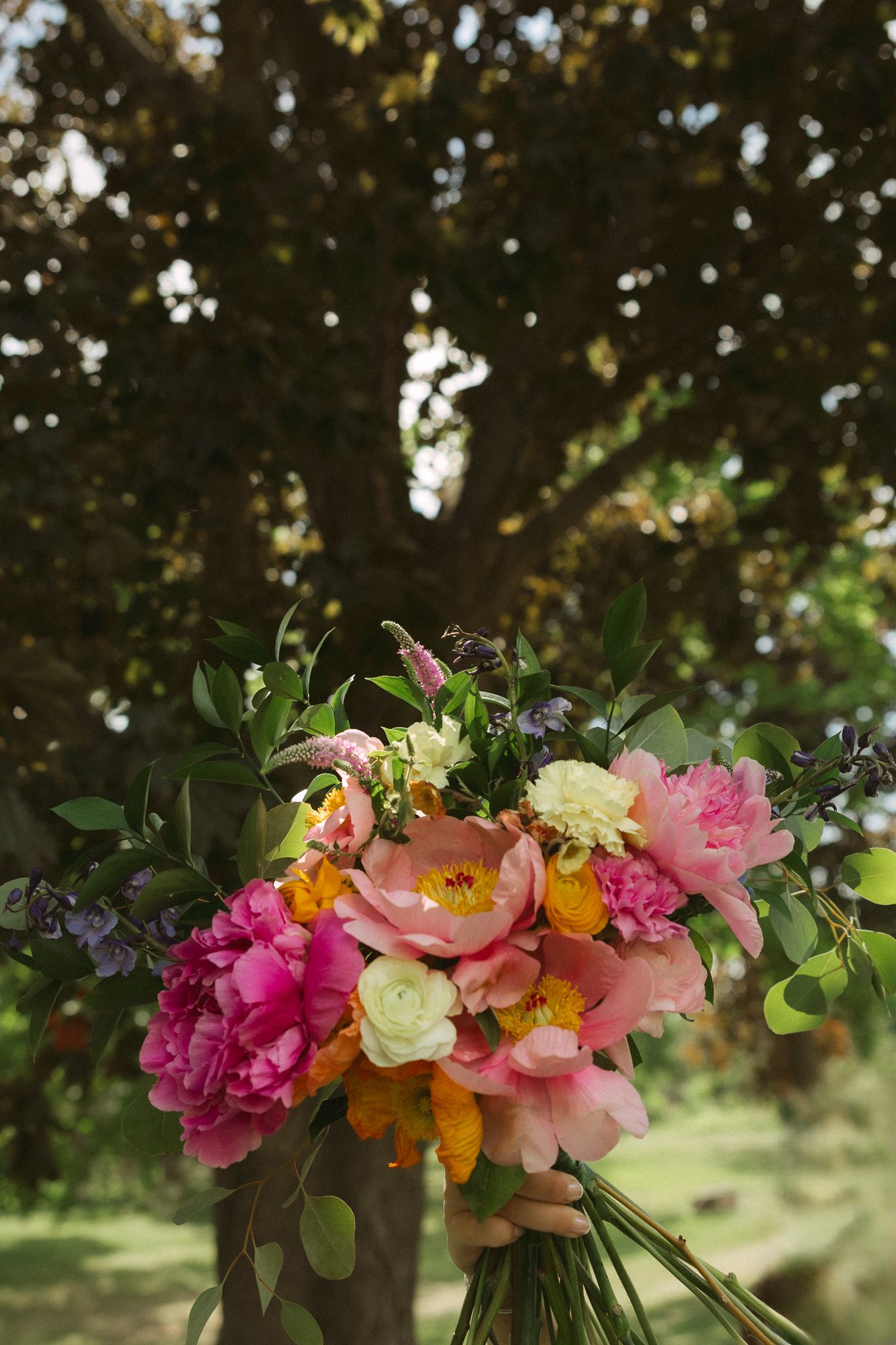 Vibrant wedding bouquet with pink peonies, yellow blooms, and greenery held outdoors near a large tree.