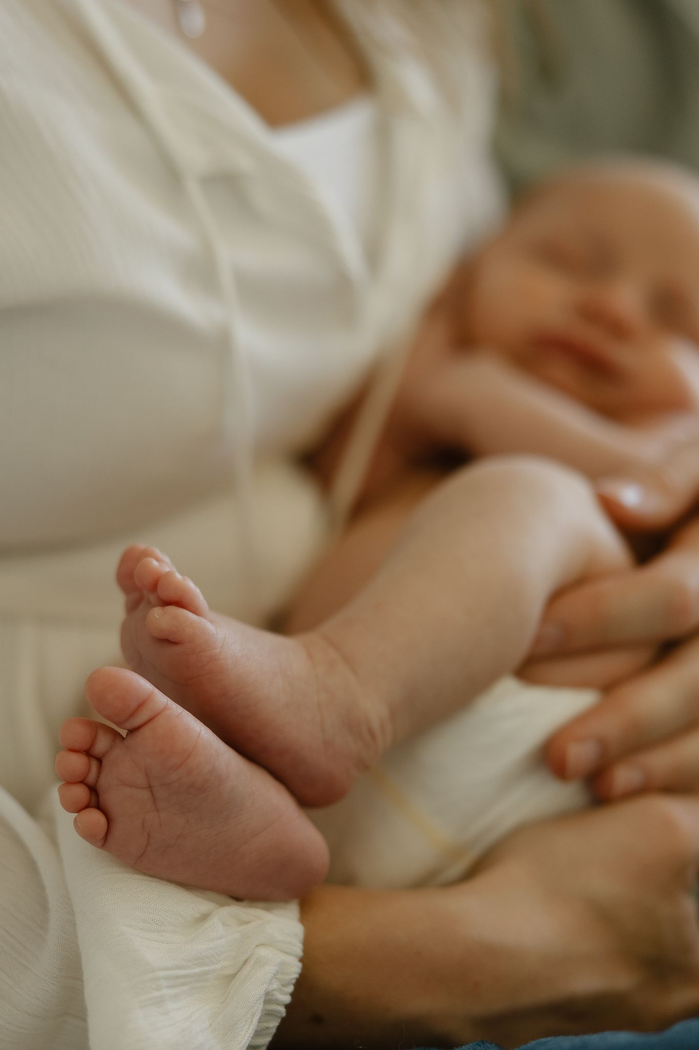 Close-up of tiny baby feet wrapped in soft white fabric.