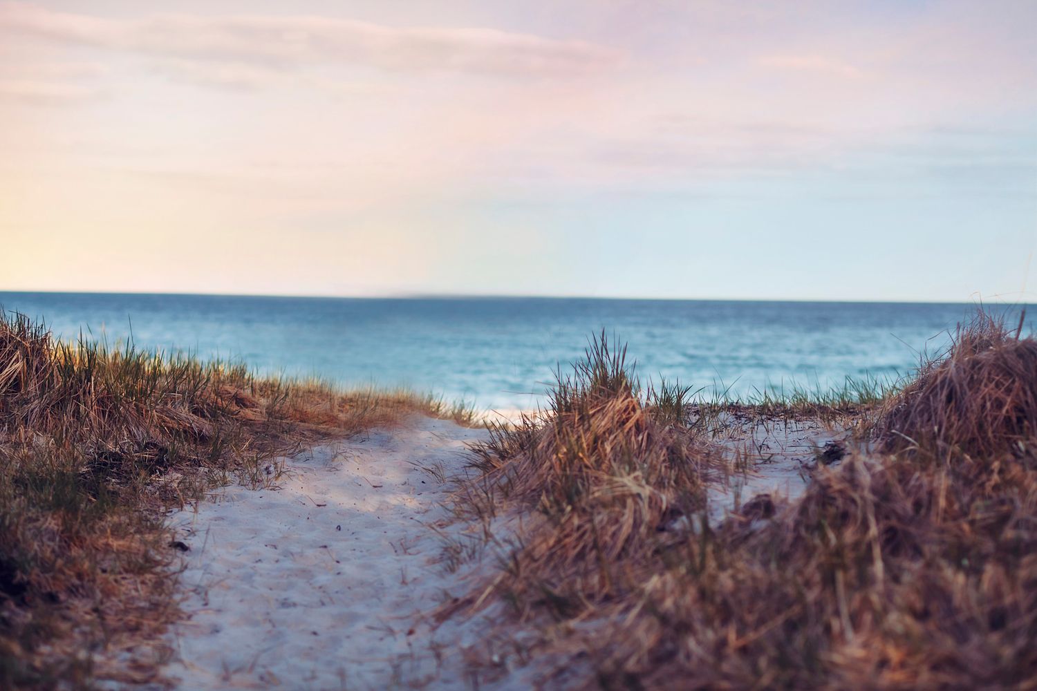 Sandy path through beach grass leading to a serene ocean horizon at sunset with pastel pink and blue sky.
