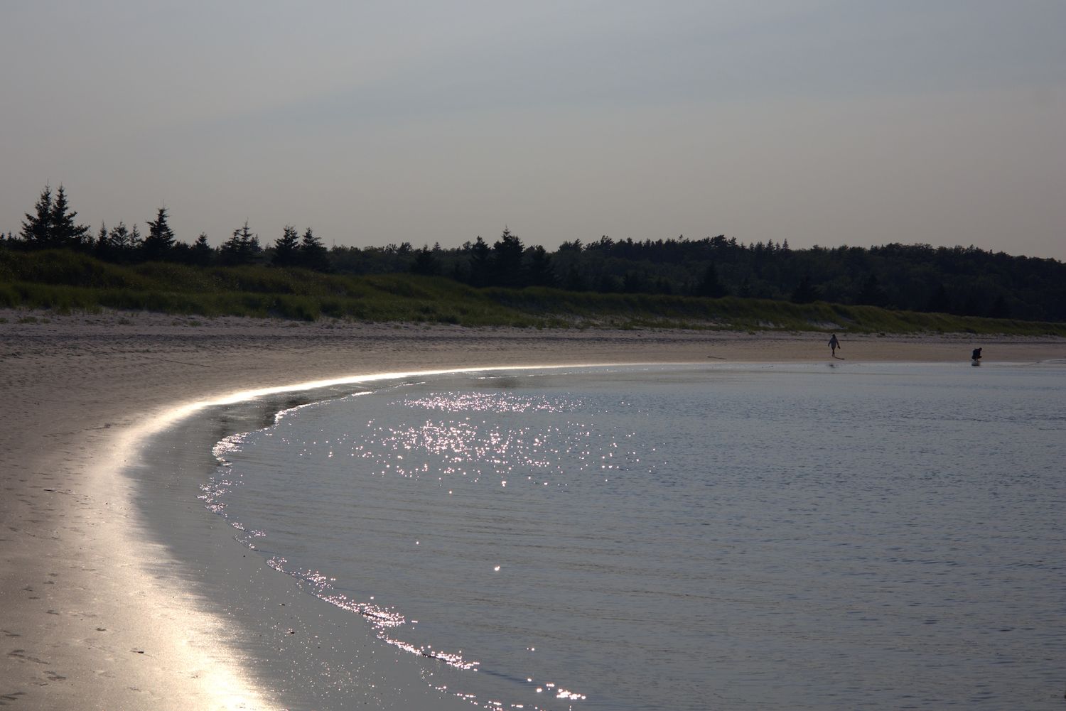 Serene curved beach shoreline reflecting golden sunlight with dense tree line and distant figures at dusk.