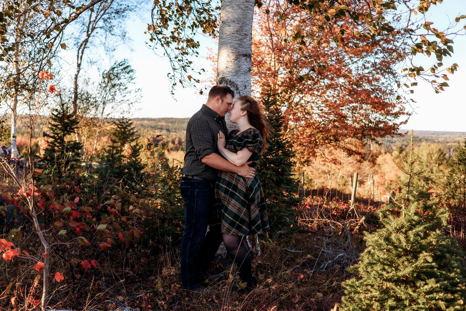 Couple embracing romantically among colorful autumn foliage and birch trees in a scenic outdoor fall engagement photo.
