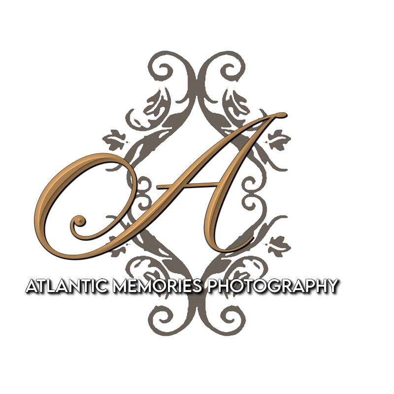 Elegant Atlantic Memories Photography logo featuring a gold letter A with ornate gray scrollwork and floral design.