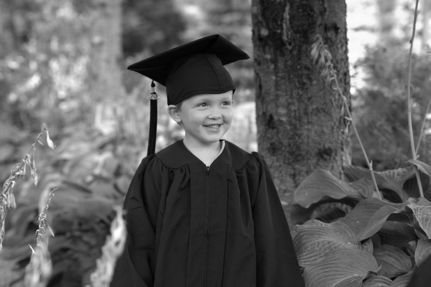Smiling young boy wearing black graduation cap and gown outdoors among trees and foliage.