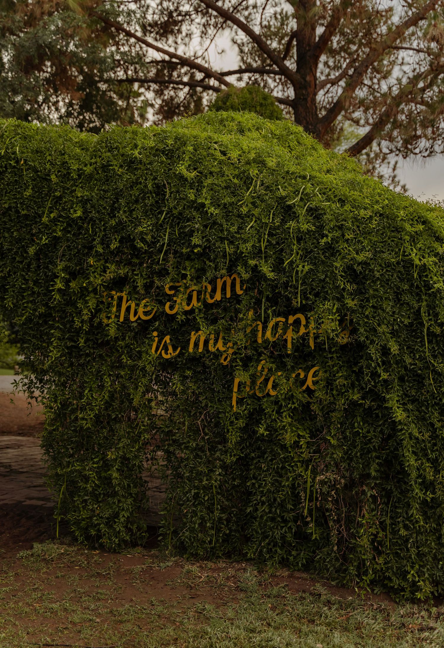 the farm at south mountain photos photographer
