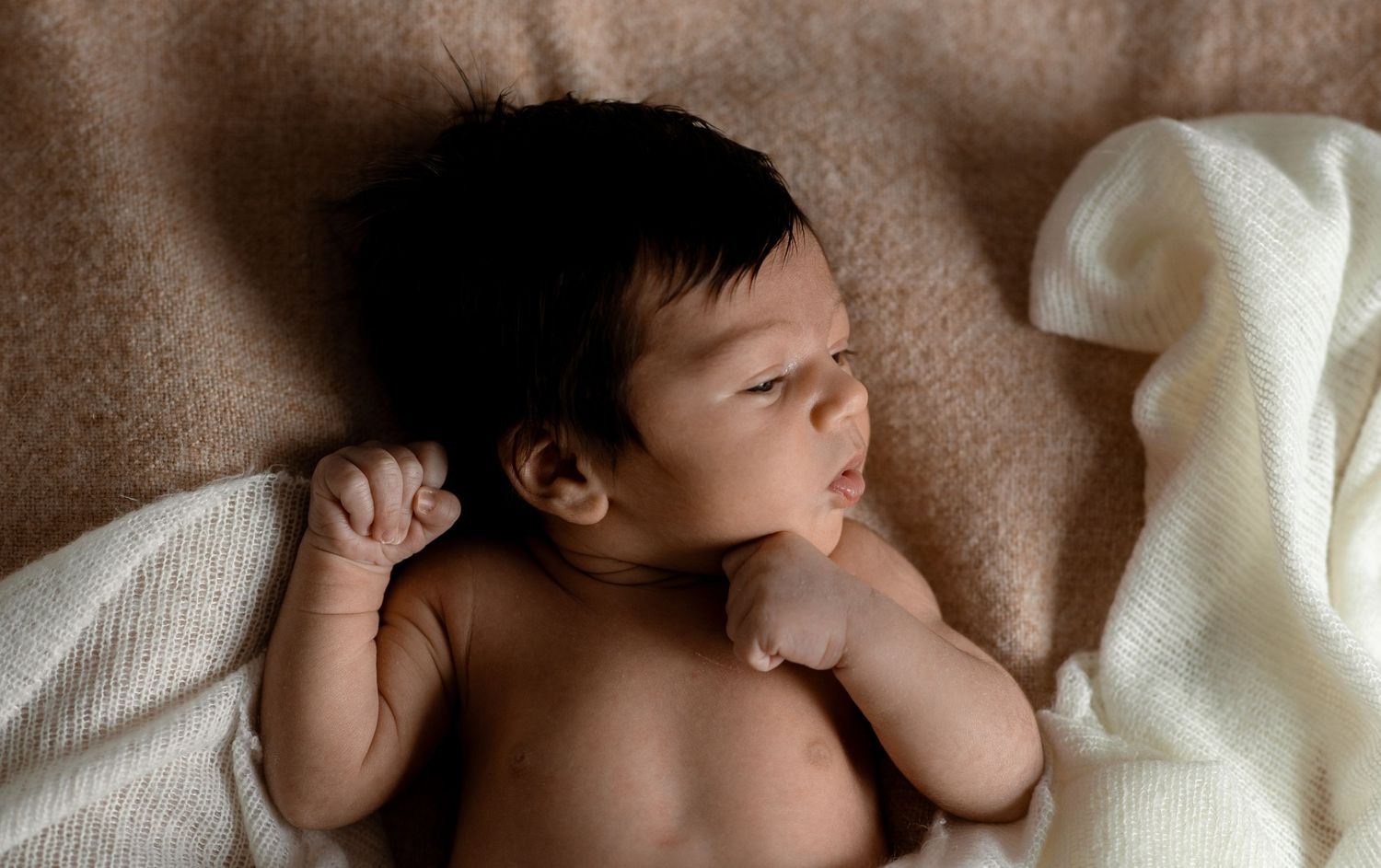 Peaceful newborn baby resting on soft brown bedding with white blanket.
