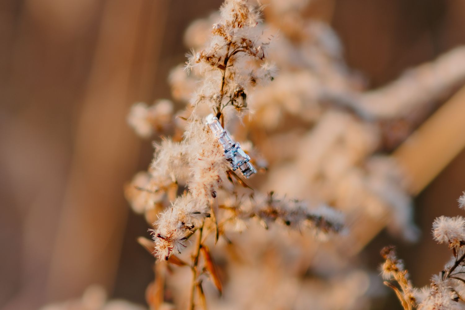 A delicate diamond ring sparkles among dried winter plants in warm natural light.