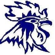 Logo for Cookhill Cricket Club