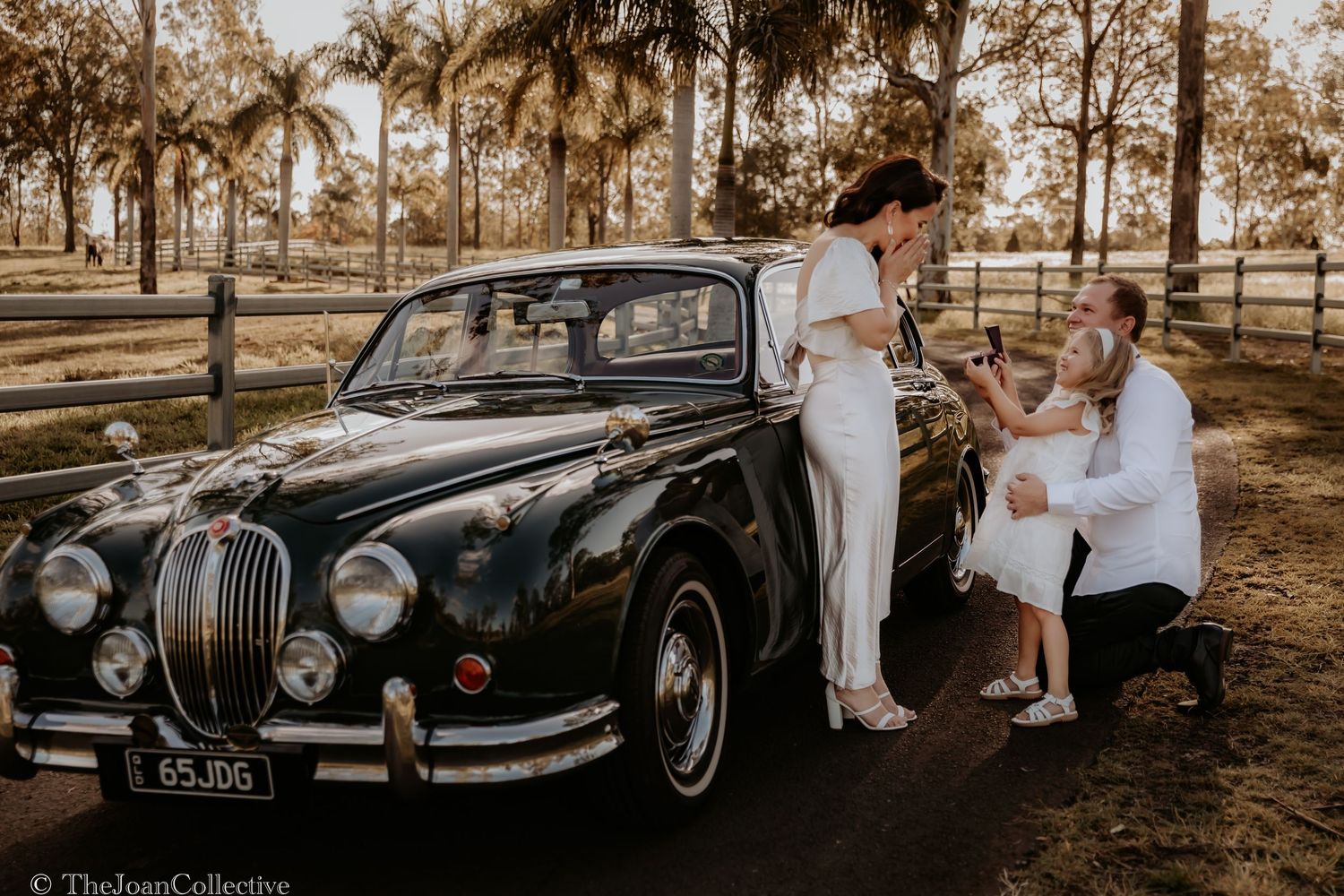 Vintage classic cars parked at rustic outdoor wedding venue with palm trees.