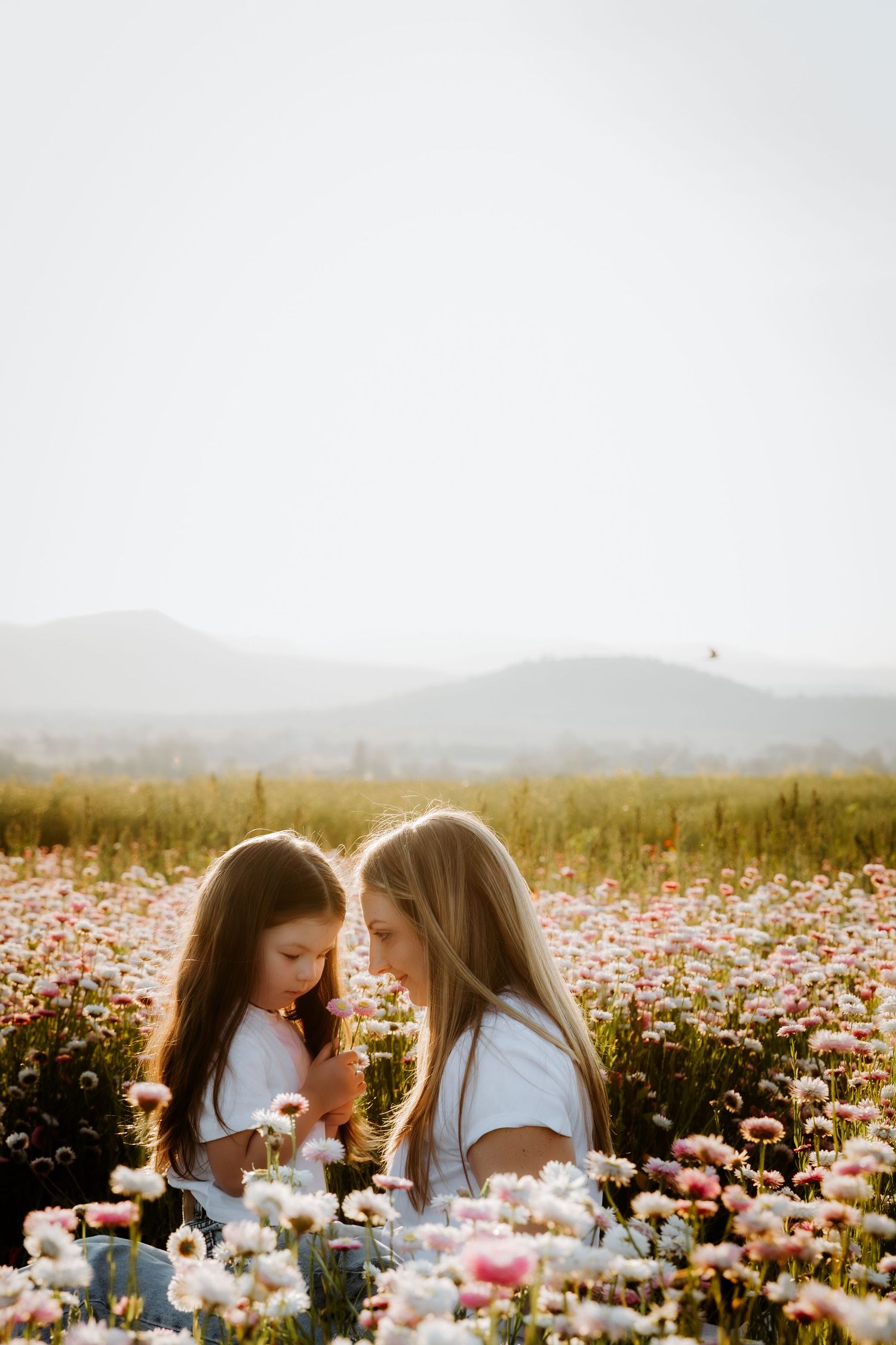 Two girls in white shirts sit among pink and white wildflowers in a sunlit meadow with mountains in the background.