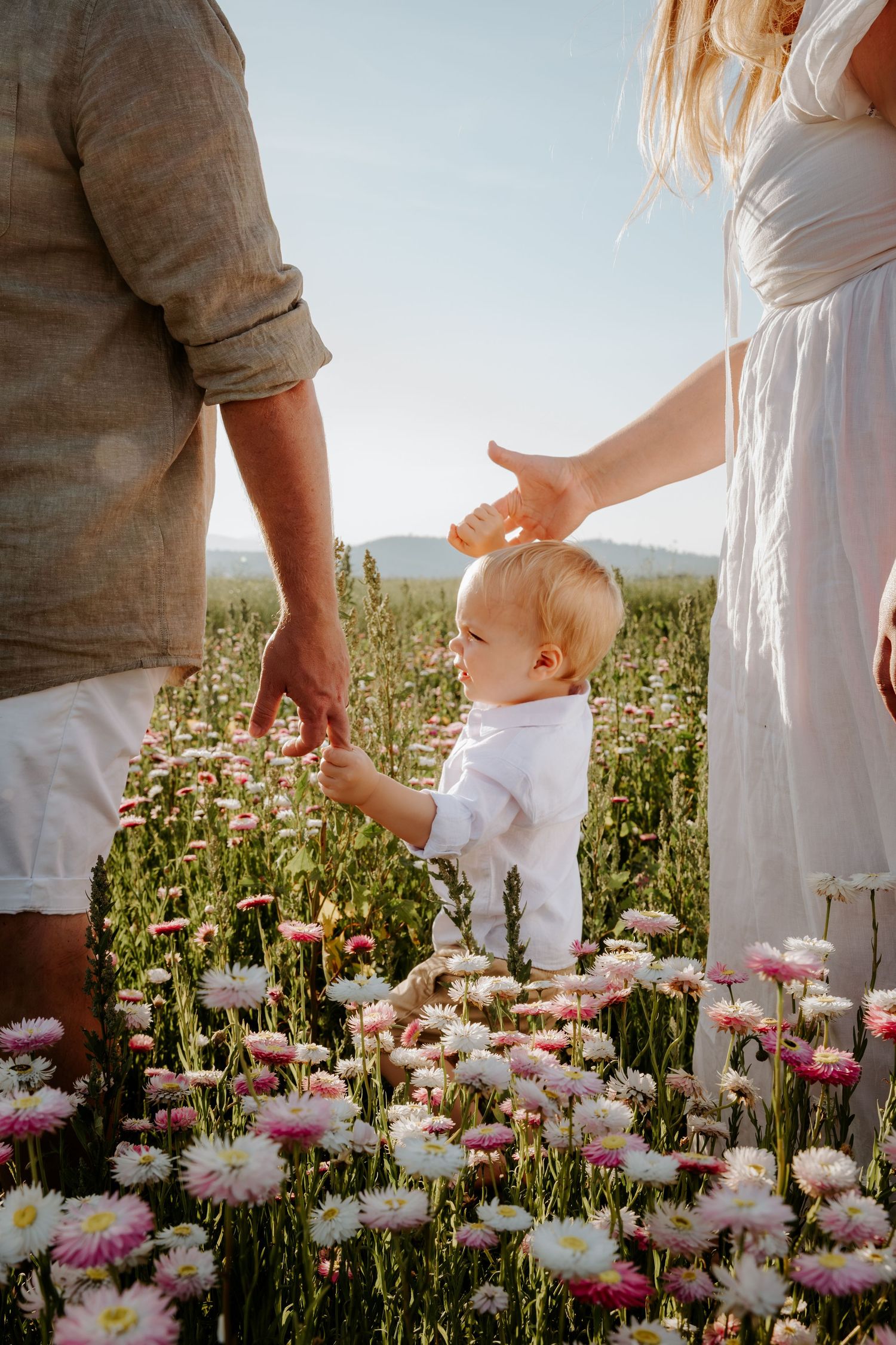 A baby takes first steps in a pink and white flower field, held by parents on a sunny day.