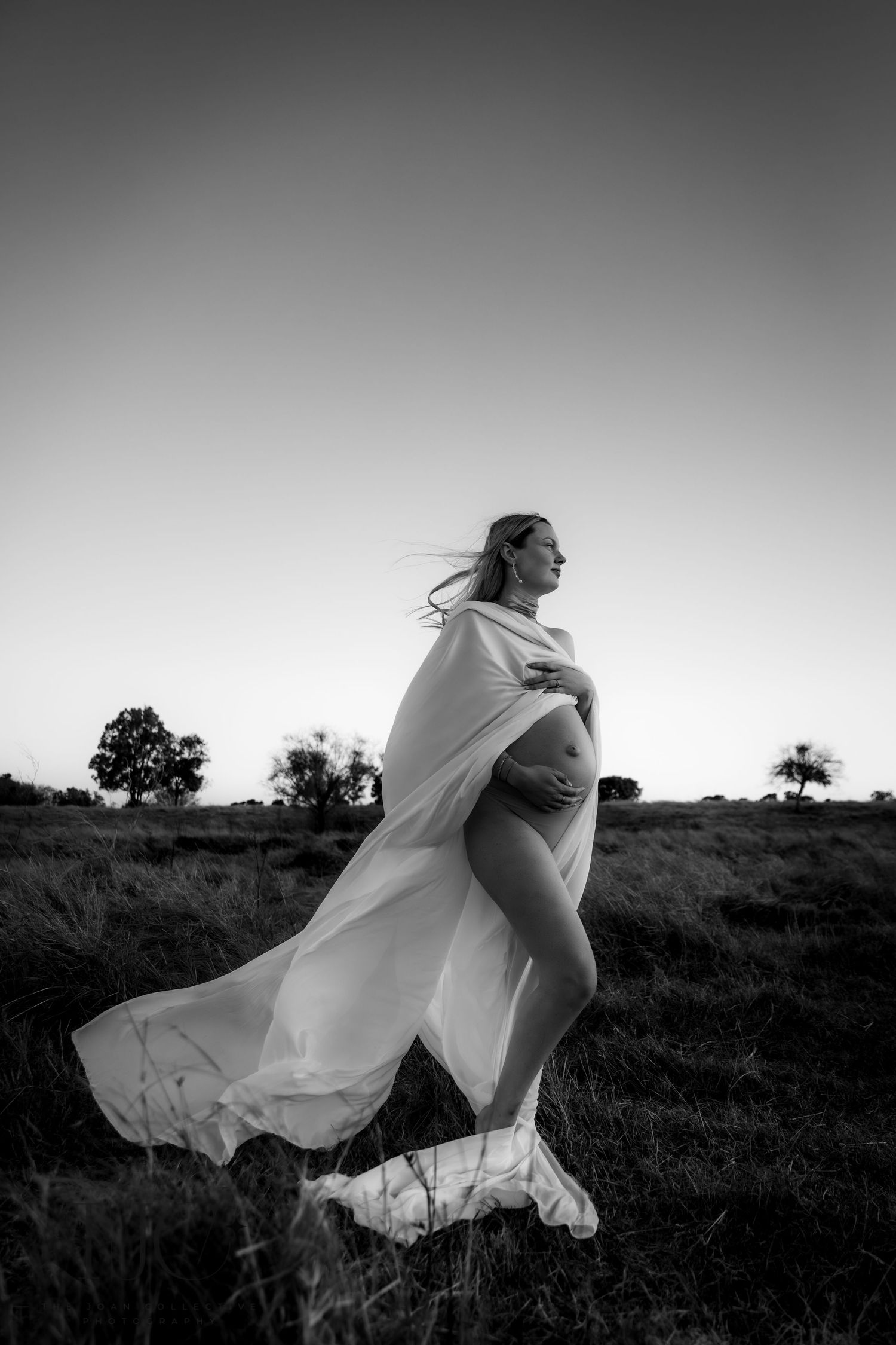 the joan collective maternity photographer photography photo family wedding