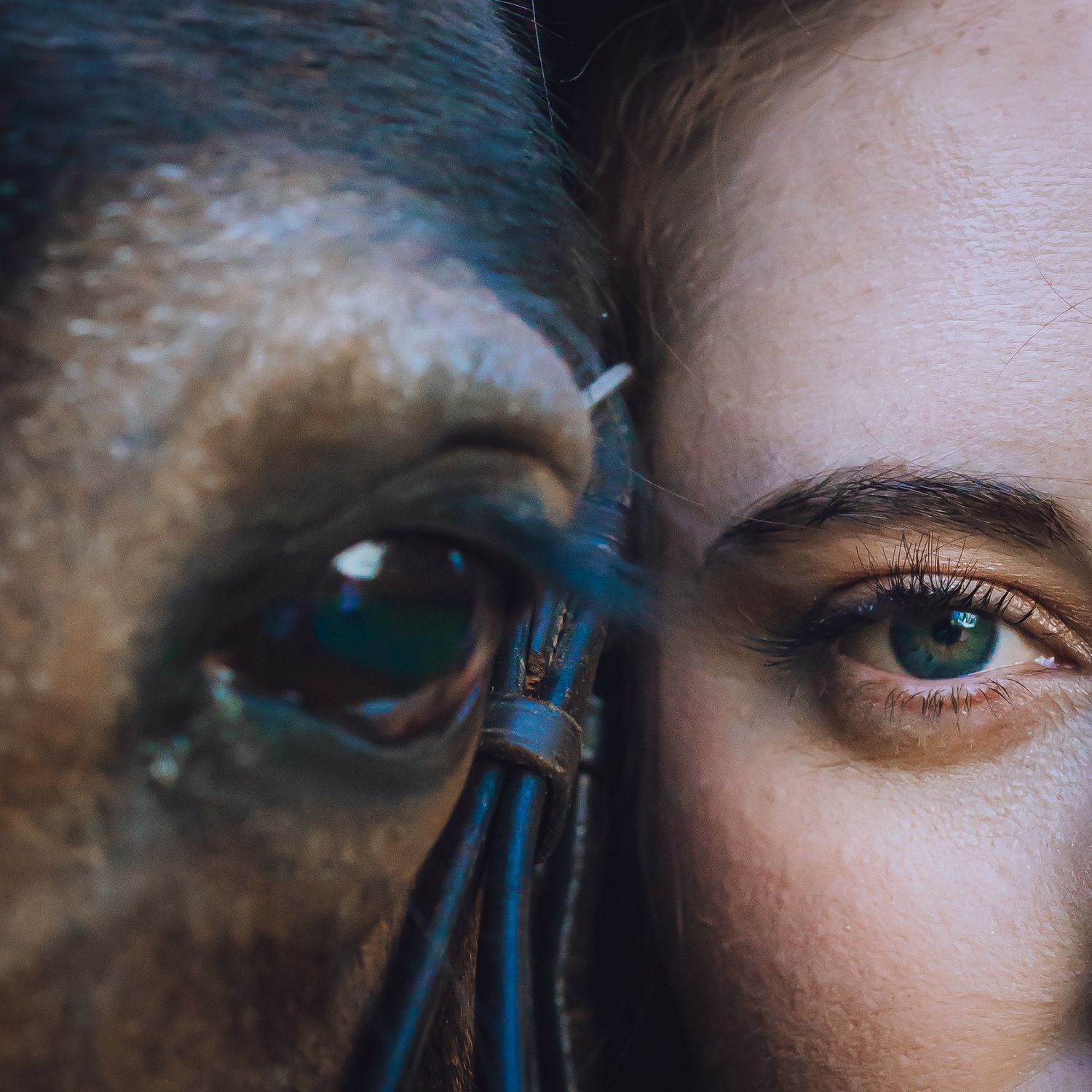 Wedding Photographer in the Lake District - creative portrait-bride and horse eye shot -wedding venue Holesfoot the Lake District
