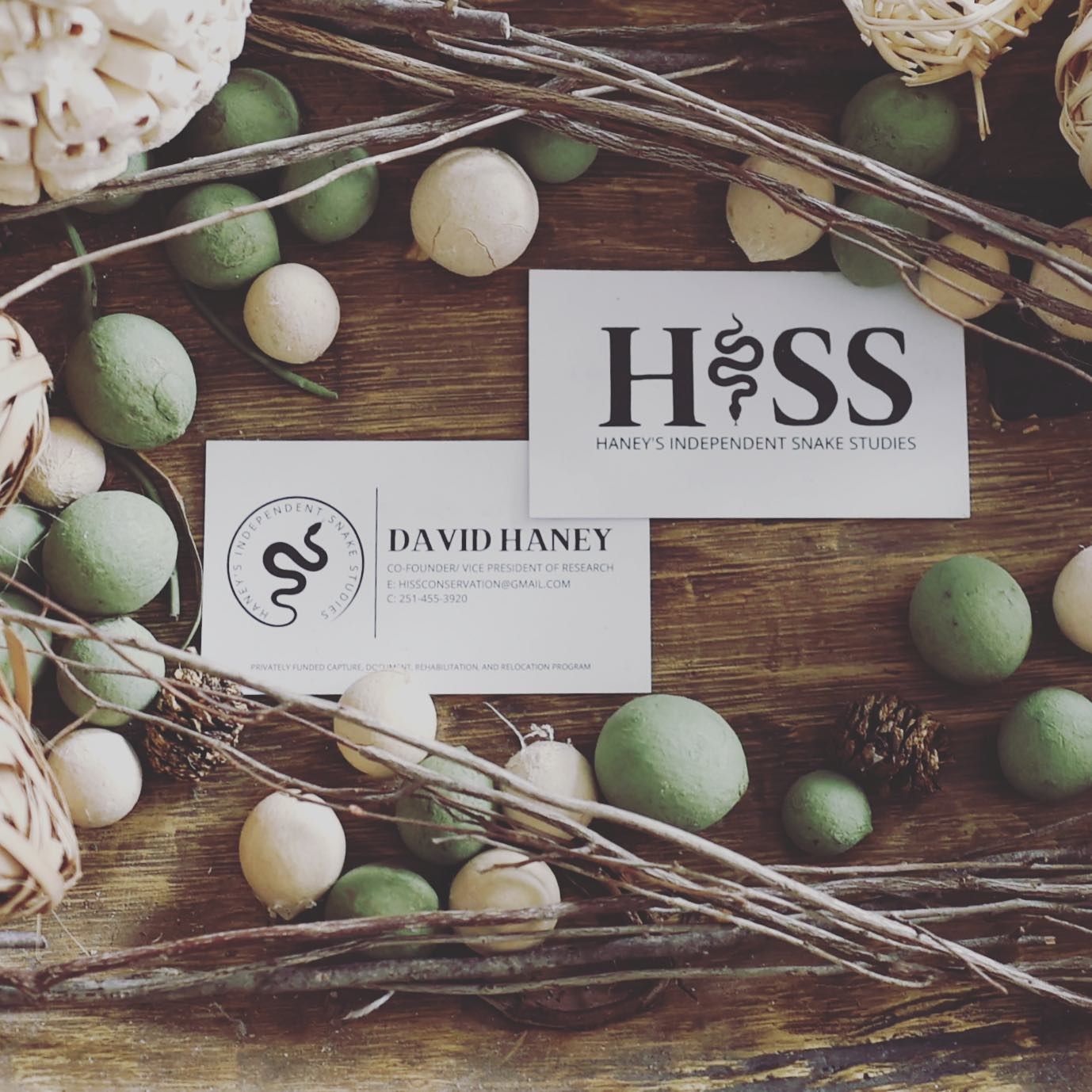 HISS Business Logo Cards