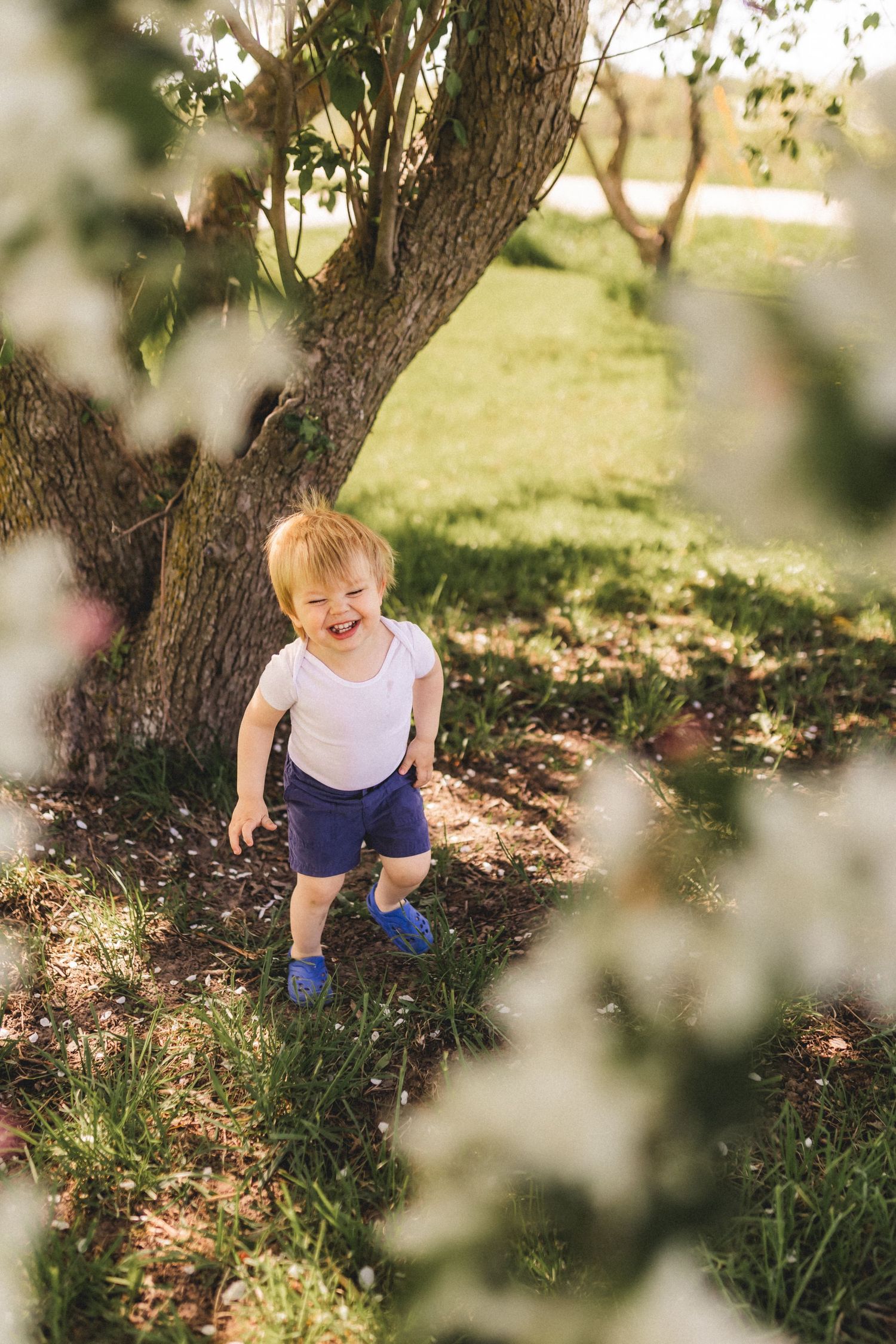 A child plays and explores in a sunlit garden area under a tree on a bright spring day.