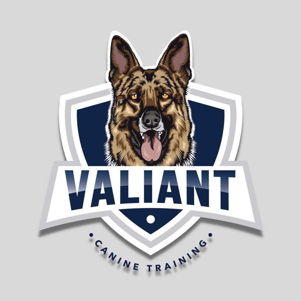 A professional logo design featuring a German Shepherd dog head on a navy blue shield with text reading 'Valiant Canine Training'.