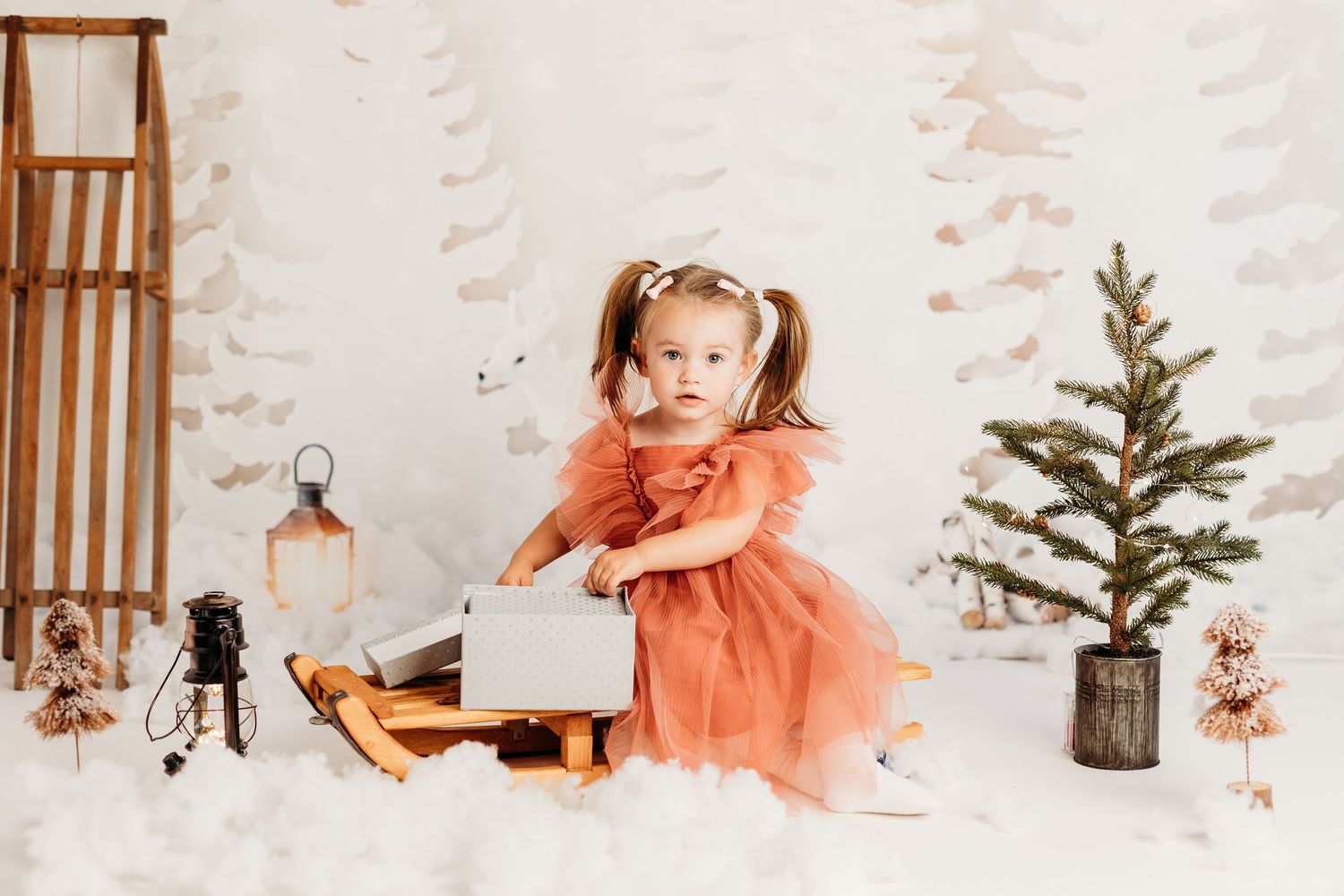 Winter photo setup with lanterns and small evergreen tree against white backdrop.