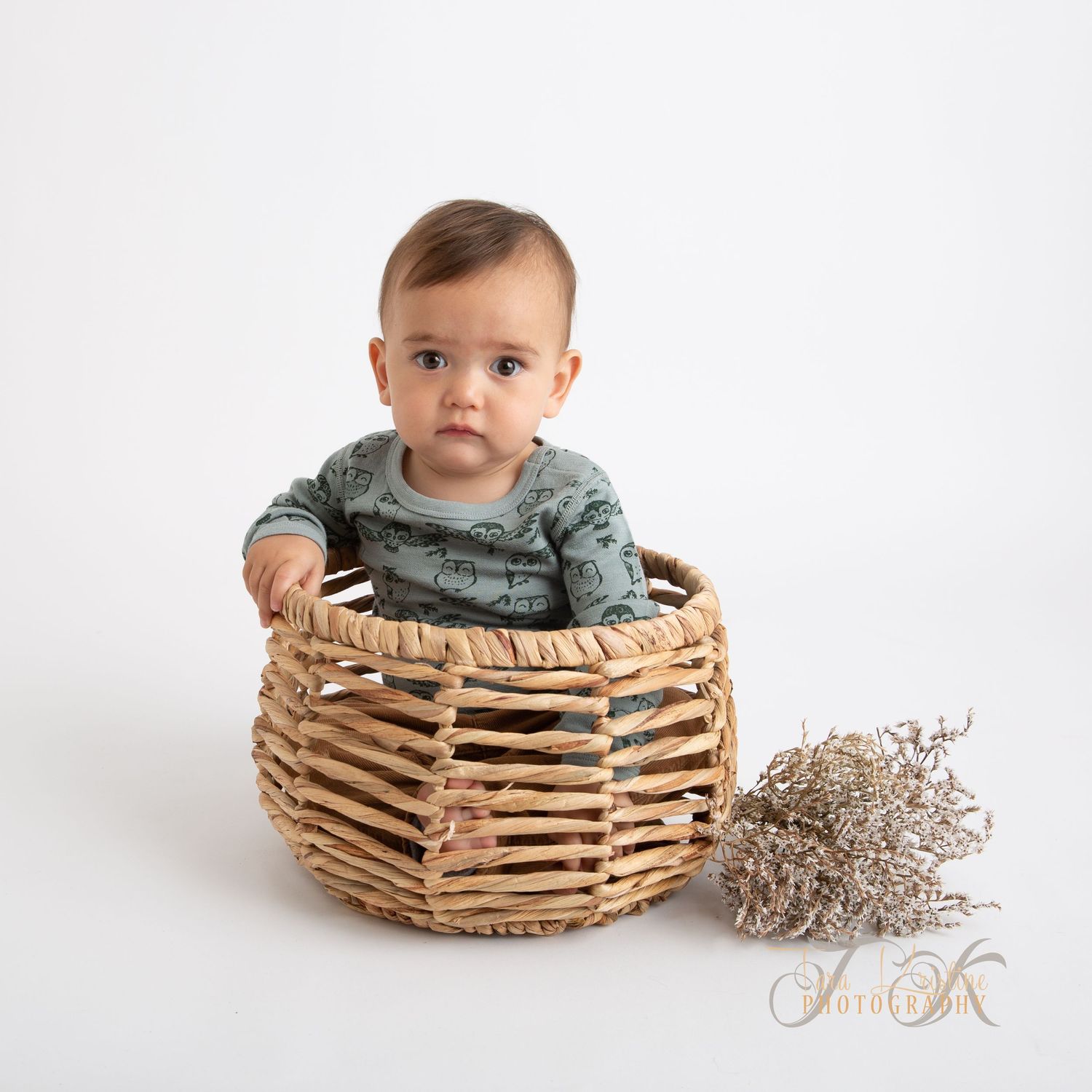 Barneportrett Moss: En baby sitter nysgjerrig i en flettet kurv under en fotografering i studio.