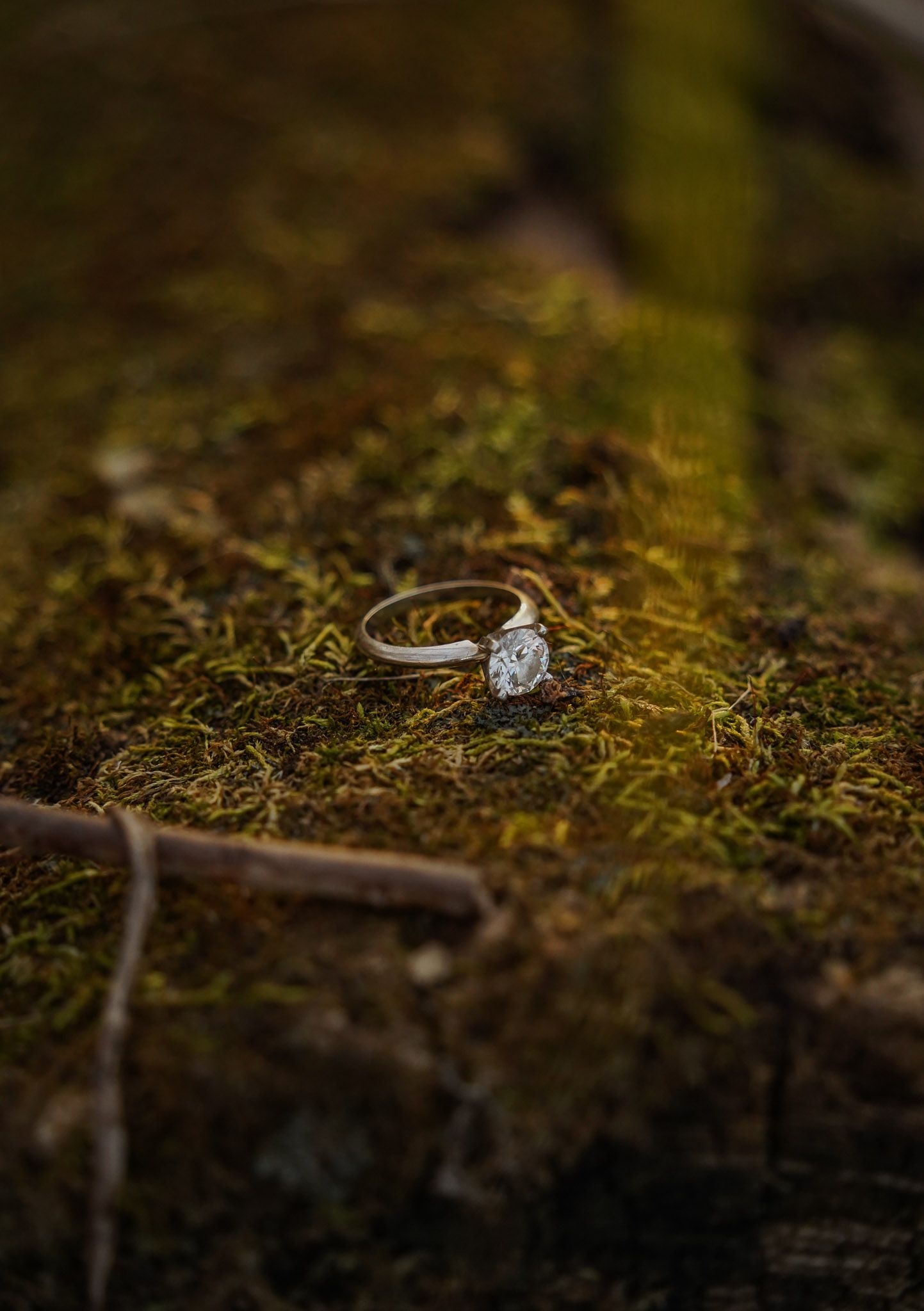 Wisconsin Couple and Engagement Photographer - Beautiful photo of engagement ring diamond in fall on green moss during engagement session.