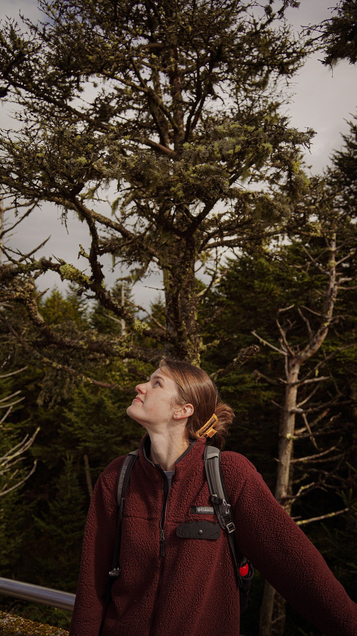 Wisconsin Portrait and Lifestyle Photographer - Beautiful woman hiking in a forest in Tennessee.