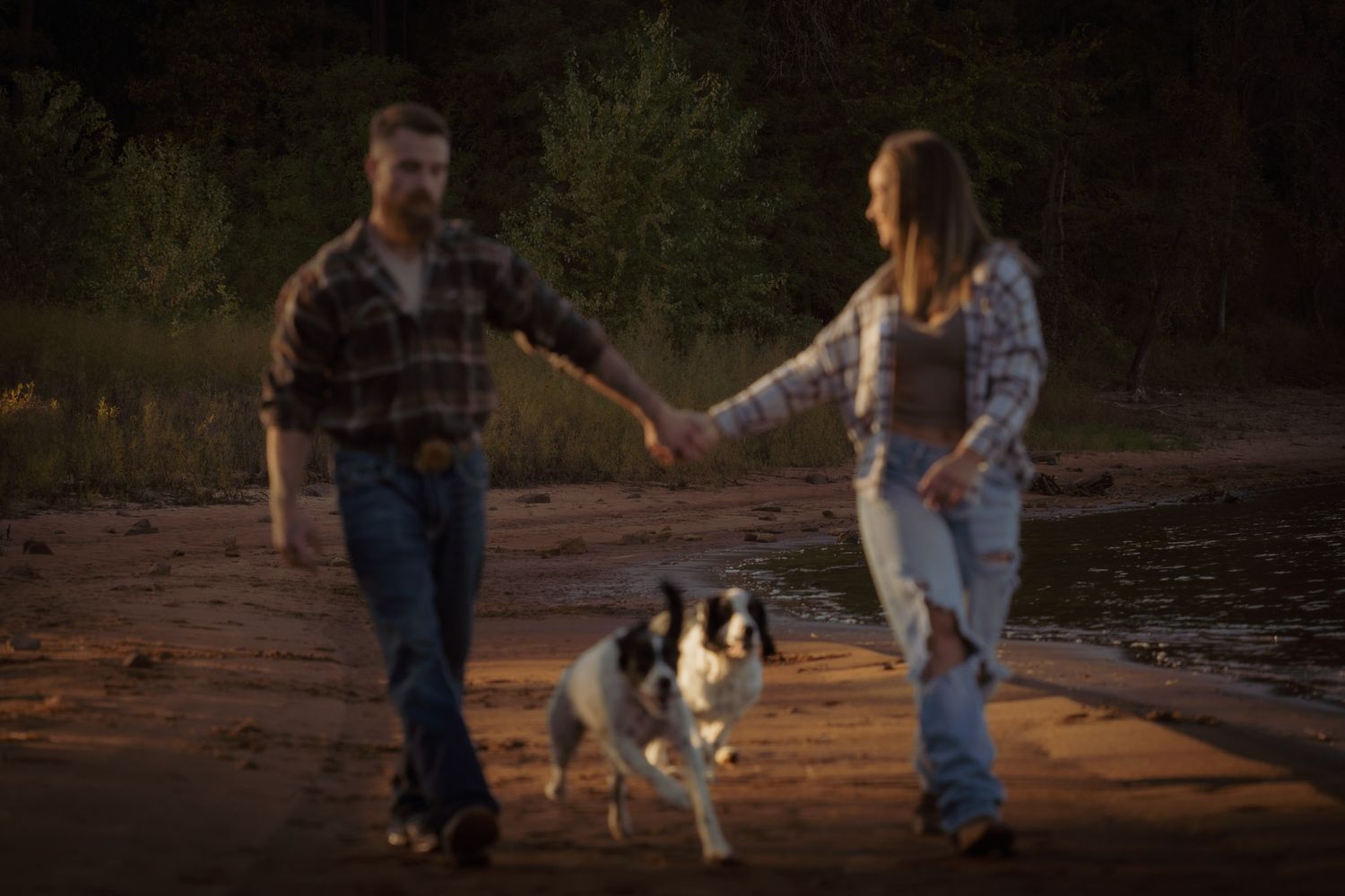 Wisconsin Couple and Engagement Photographer - Couple with dog walking on a beach in fall during an engagement session in WI during sunset.