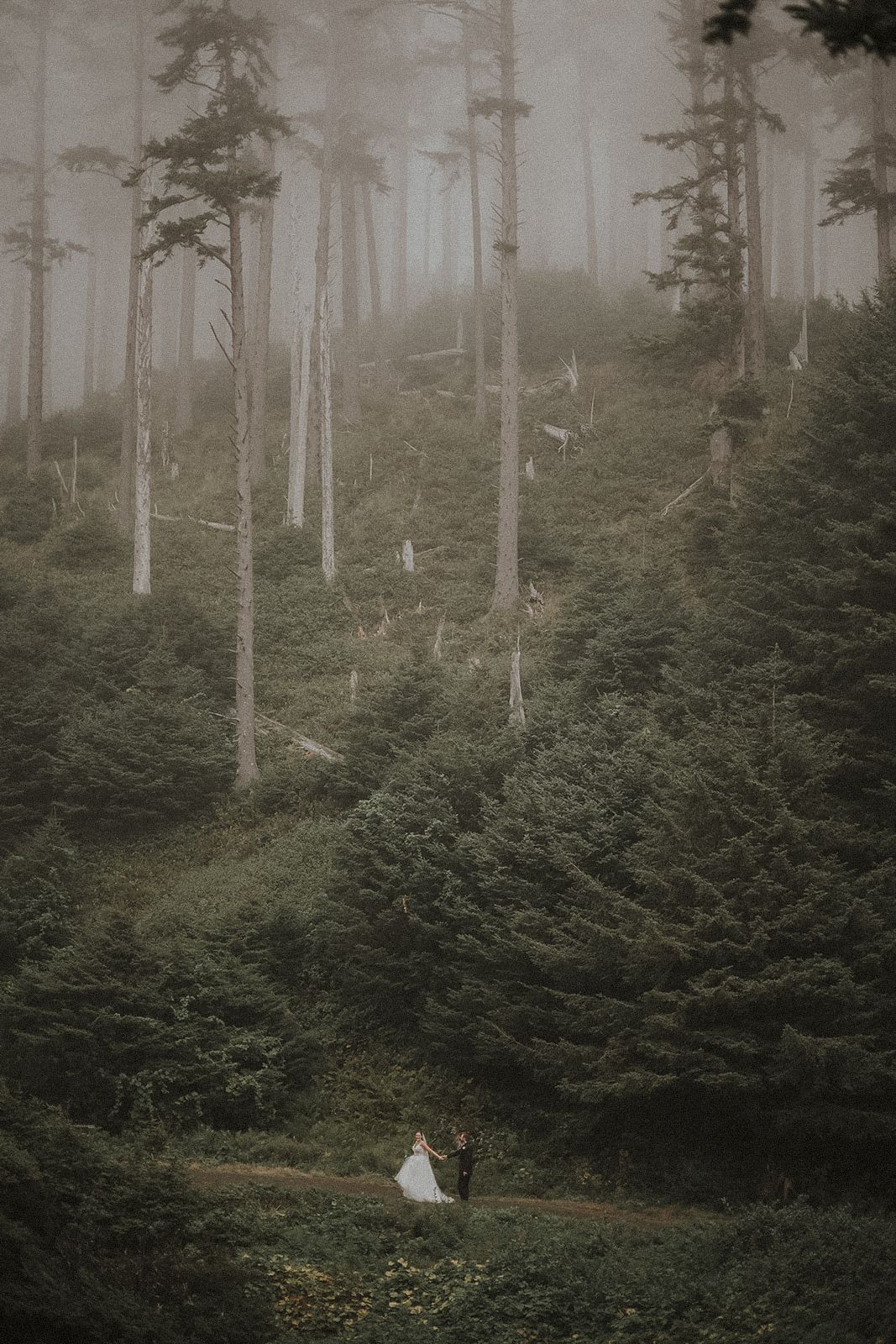 Misty forest wedding photography with tall evergreen trees creating dramatic atmosphere Indian Beach Oregon Elopement Couple walking
