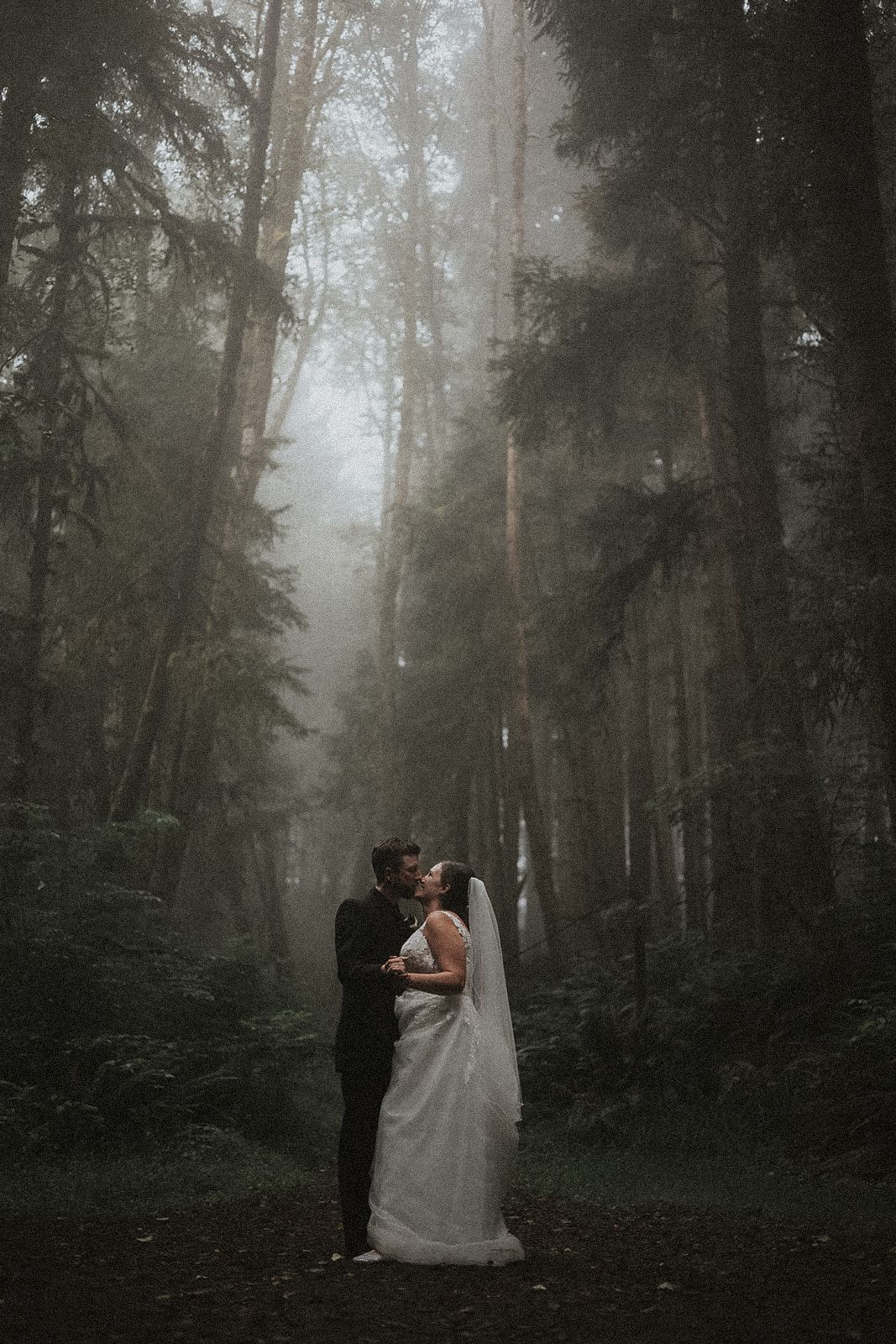 Wedding couple embracing in a misty forest with tall evergreen trees creating a moody atmosphere Indina beach ecola state park