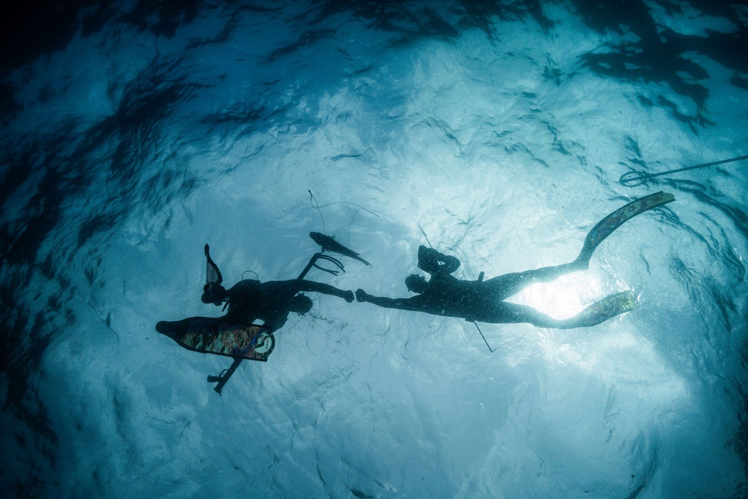A series of underwater silhouettes show divers swimming beneath the surface against a bright turquoise blue background.