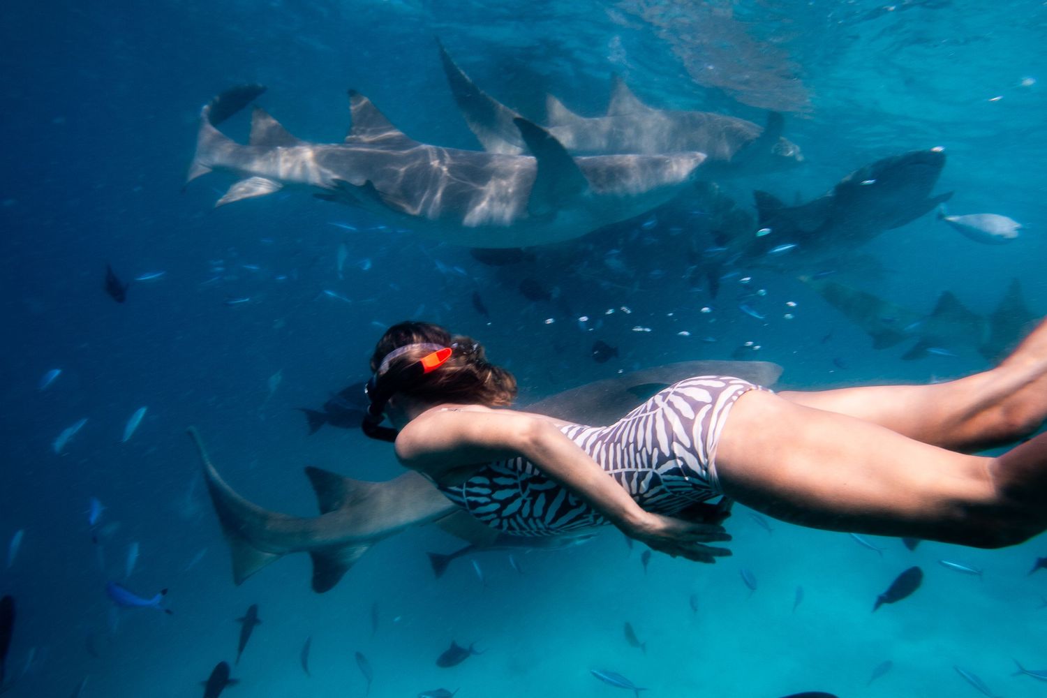 Snorkeler swimming underwater with a school of tropical fish in clear blue ocean waters.
