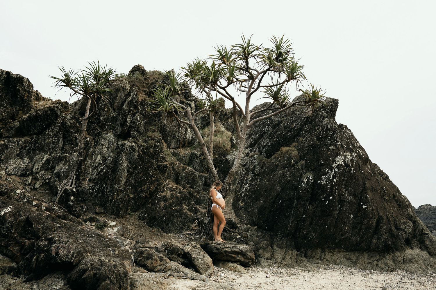 Scenic coastal landscape with rocky outcrops and palm trees against cloudy sky.